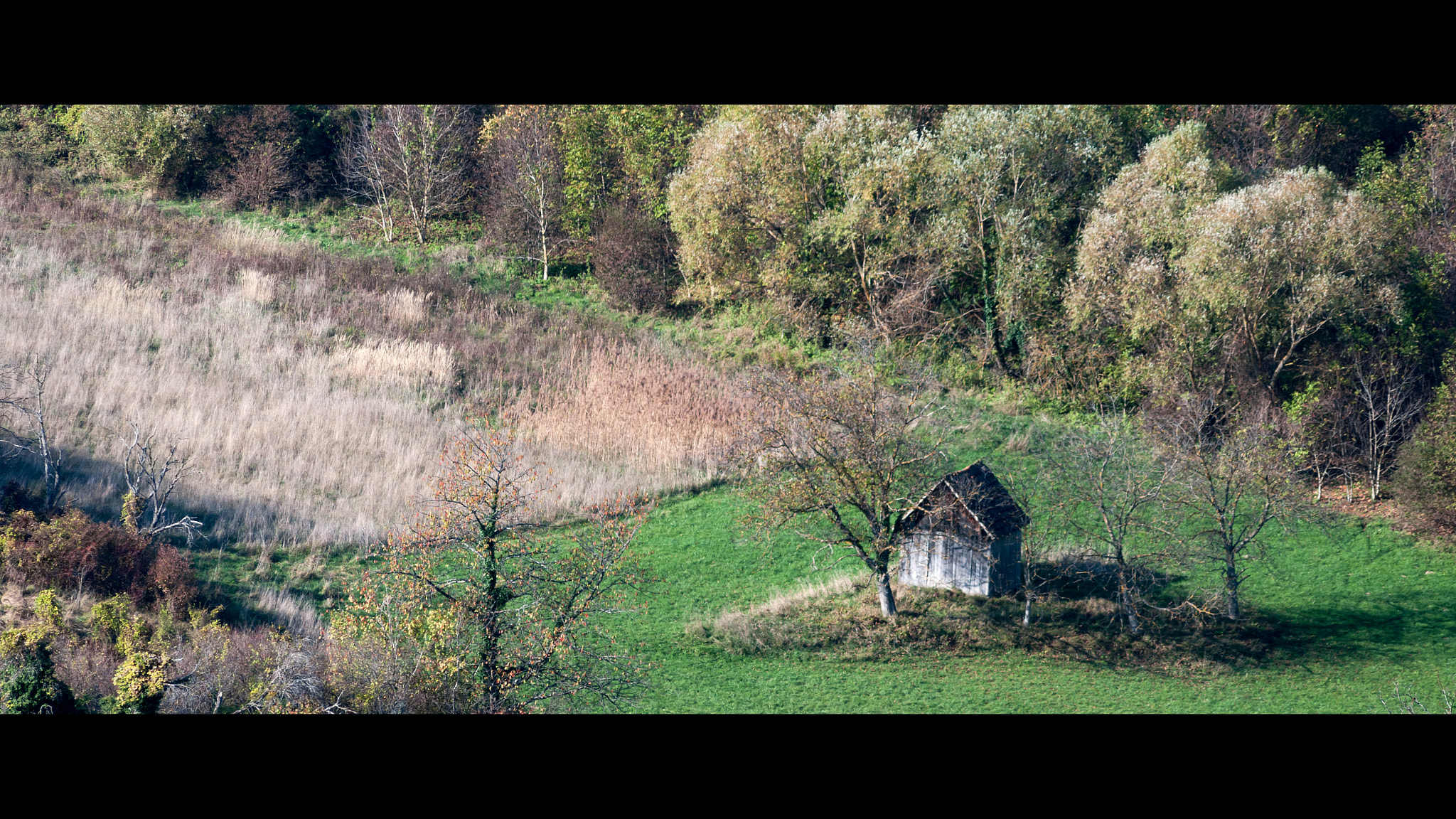 Pentax smc DA 55-300mm F4.0-5.8 ED sample photo. From the archive: november 2013. photography