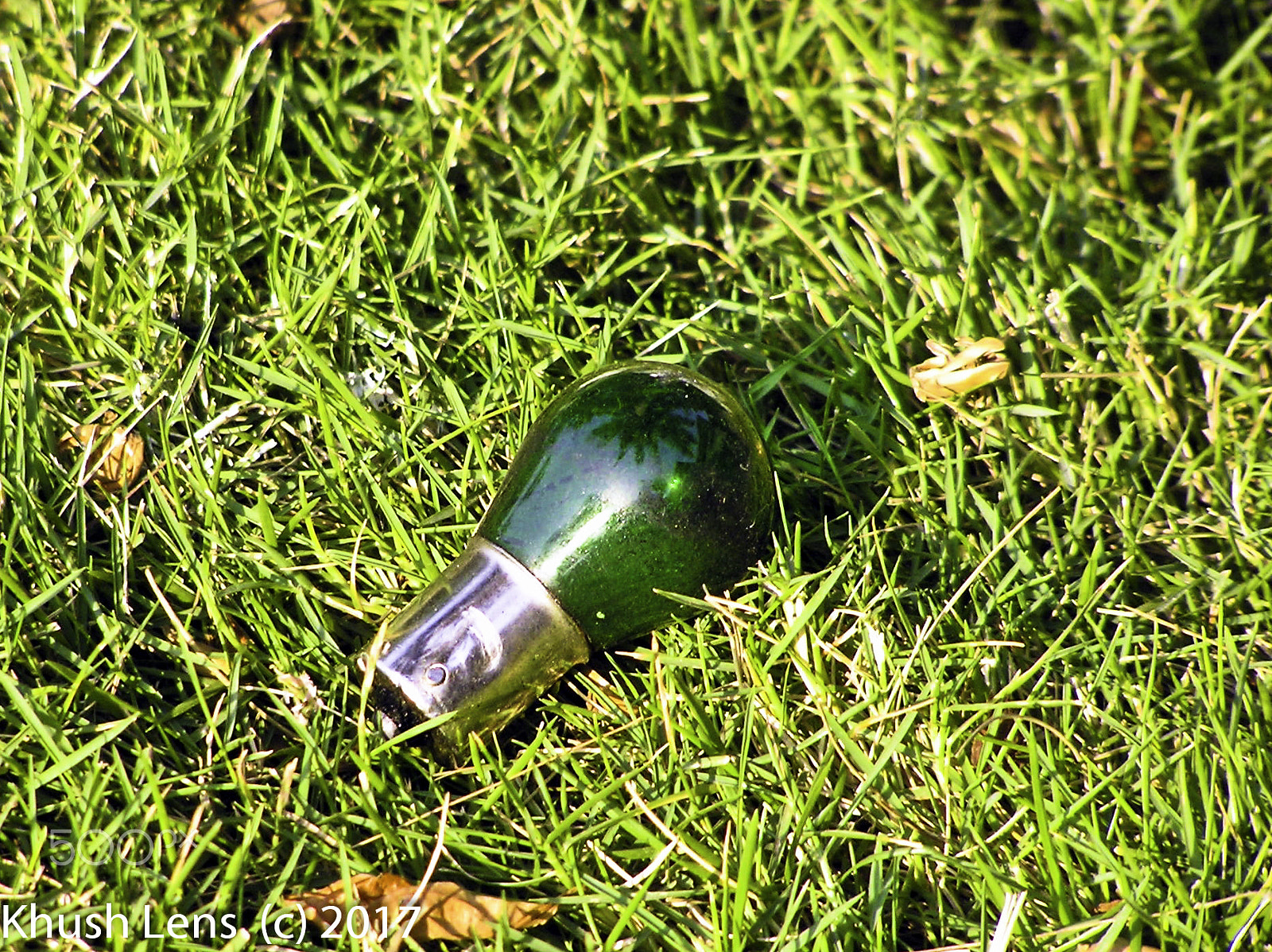 Olympus C750UZ sample photo. I am just a fused bulb photography