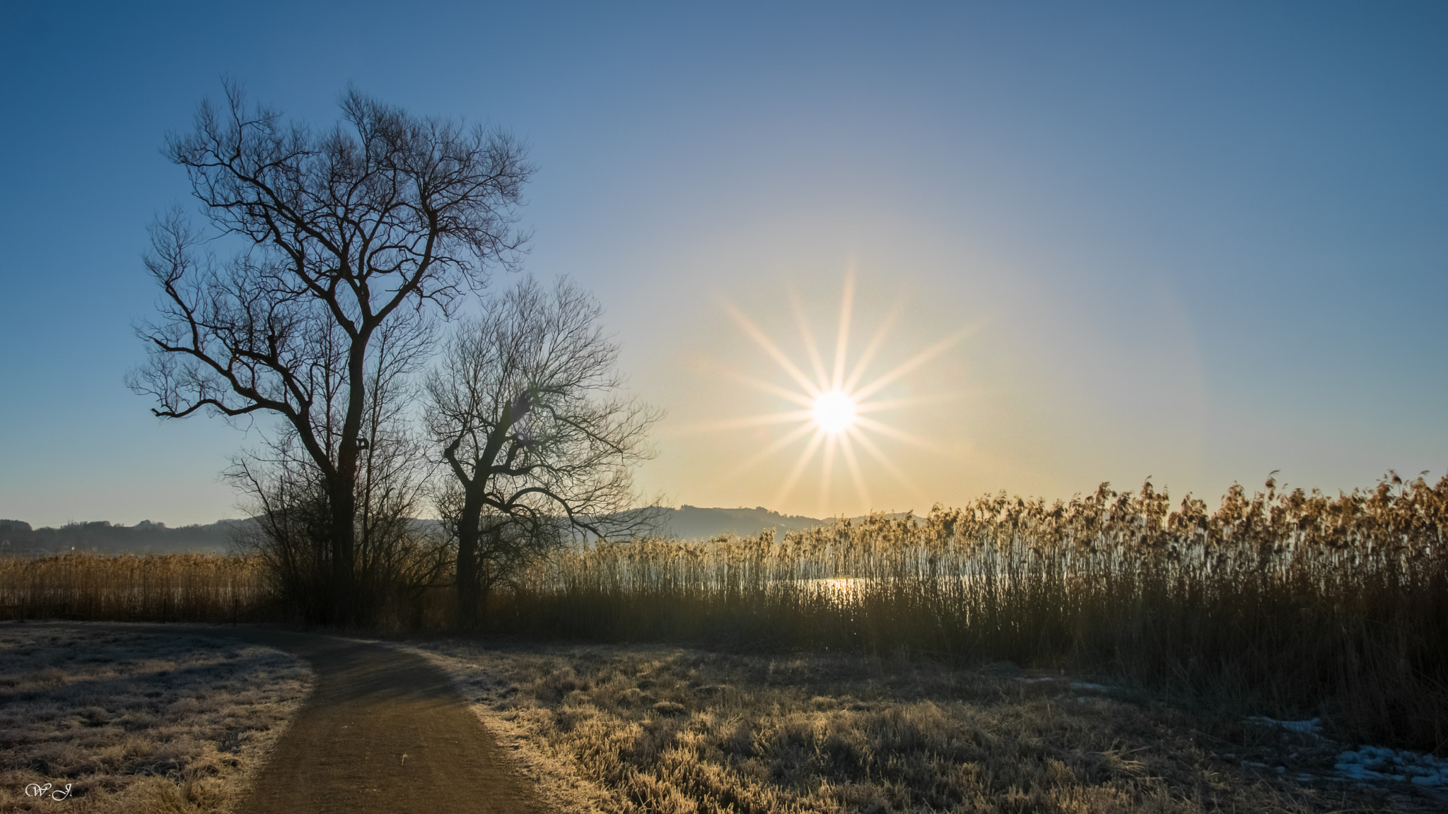Sony ILCA-77M2 sample photo. Morning at lake pfäffikersee photography