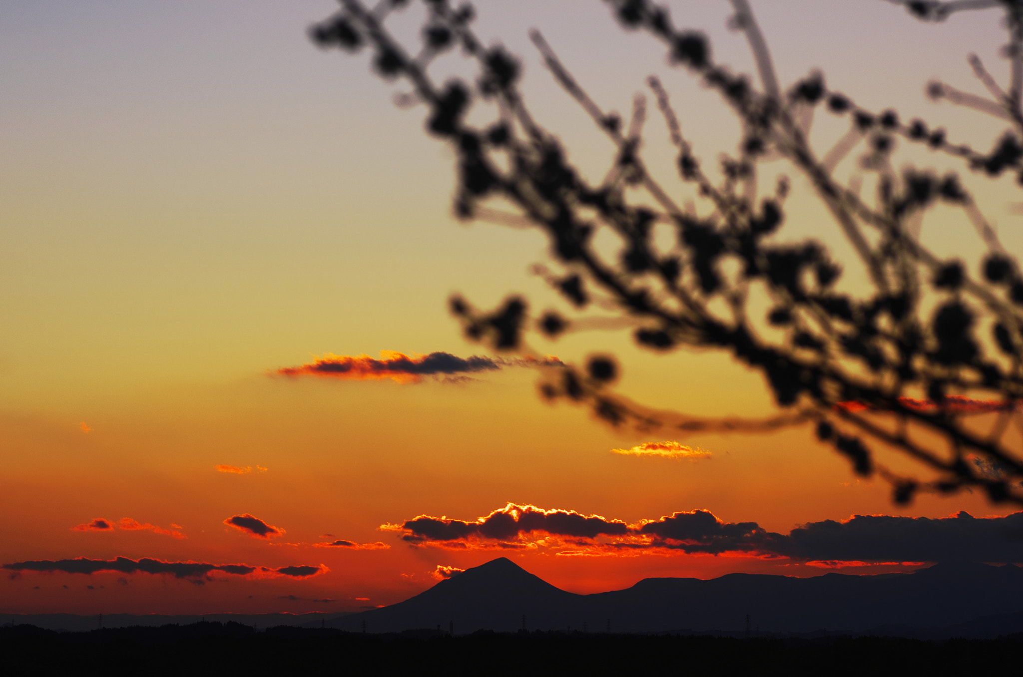 Pentax K-5 + Tamron SP AF 90mm F2.8 Di Macro sample photo. Sunset photography
