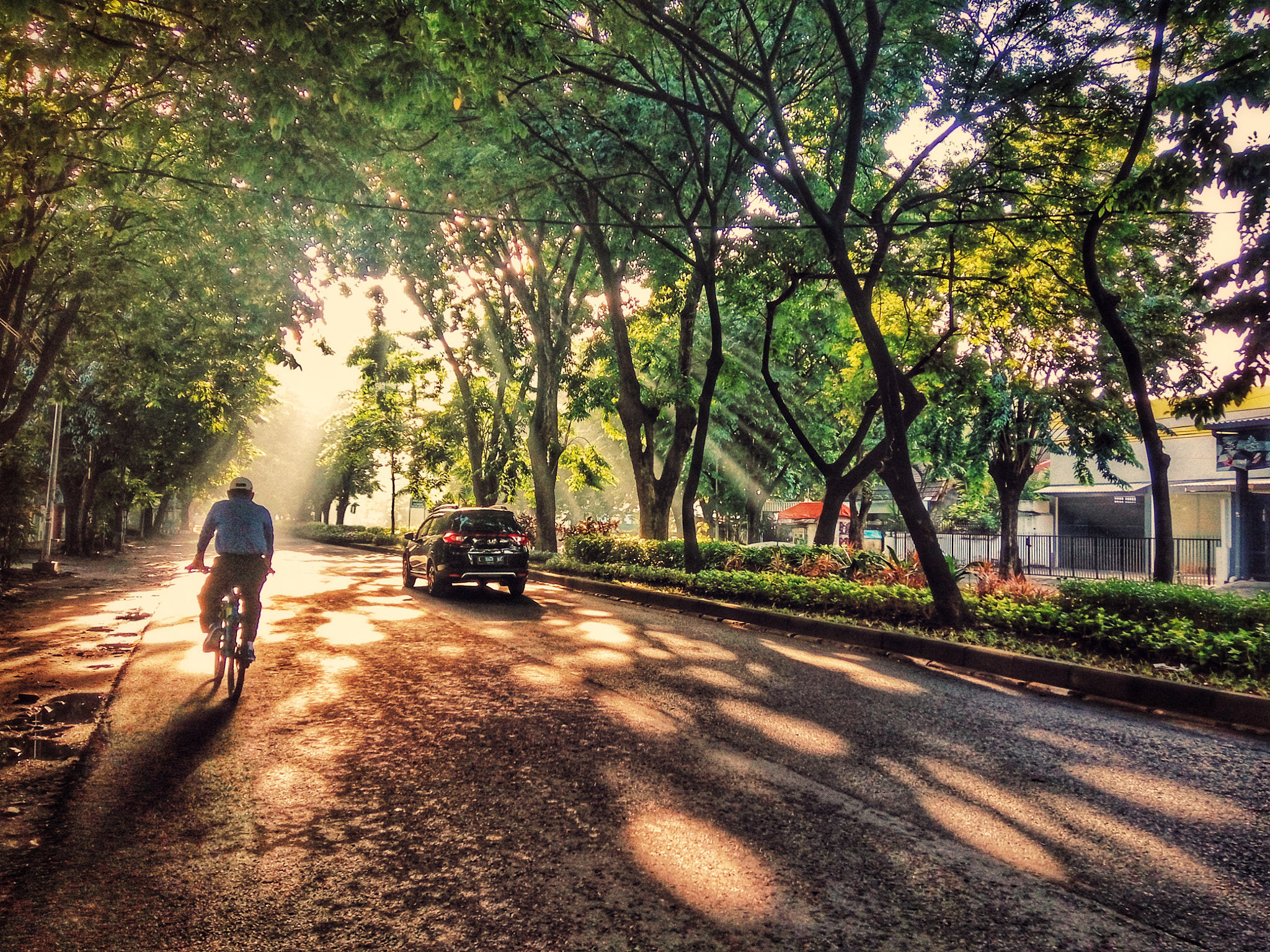 Xiaomi HM Note 2 sample photo. Morning good  photography