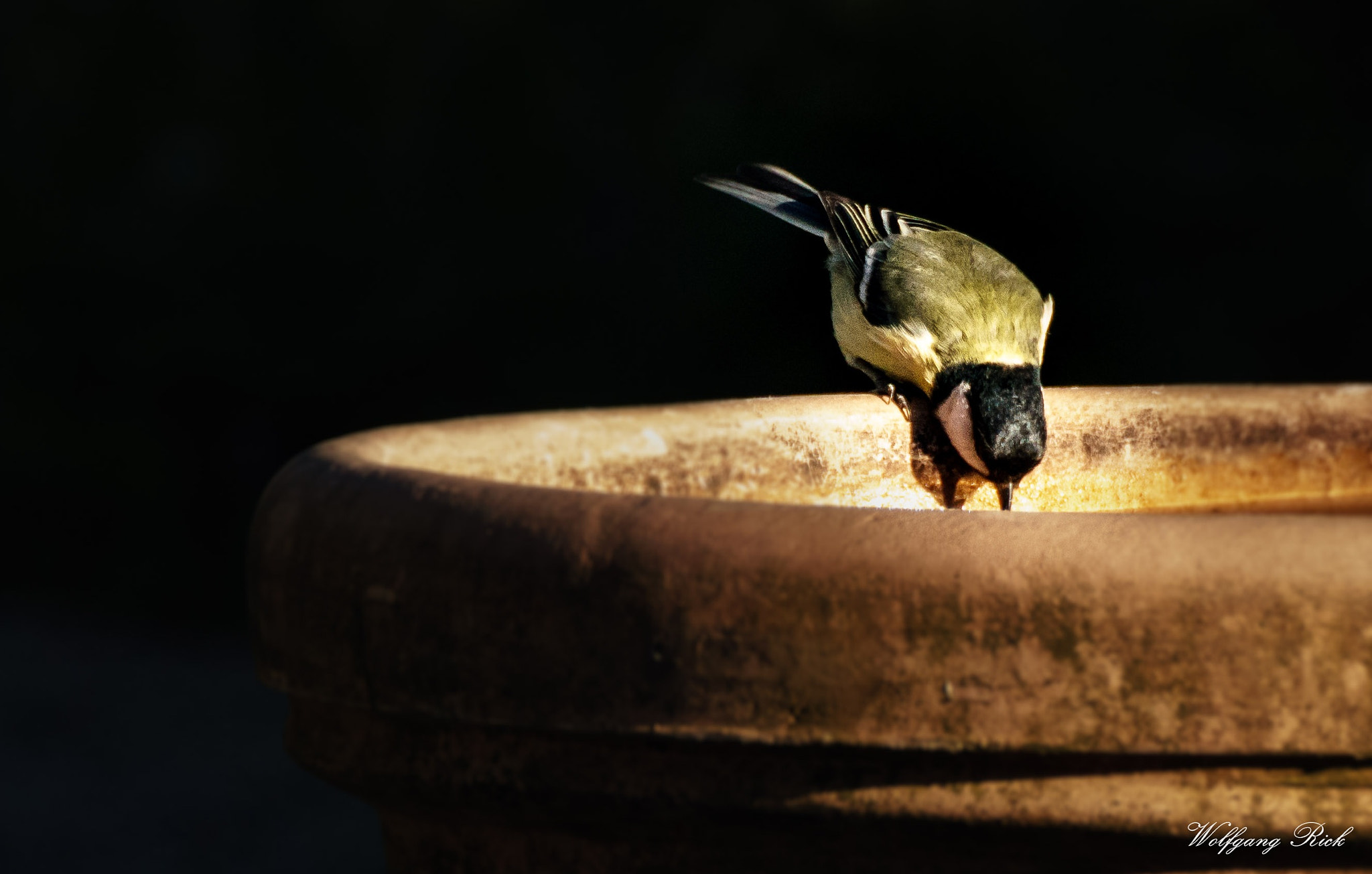 Sony ILCA-77M2 + Tamron SP 150-600mm F5-6.3 Di VC USD sample photo. Thirsty photography