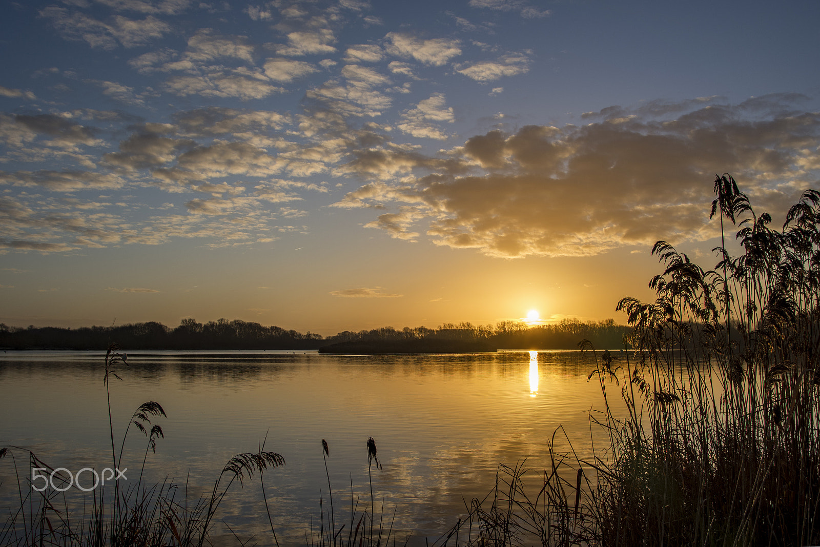 Nikon D7200 + Sigma 17-70mm F2.8-4 DC Macro OS HSM sample photo. Bedford priory photography