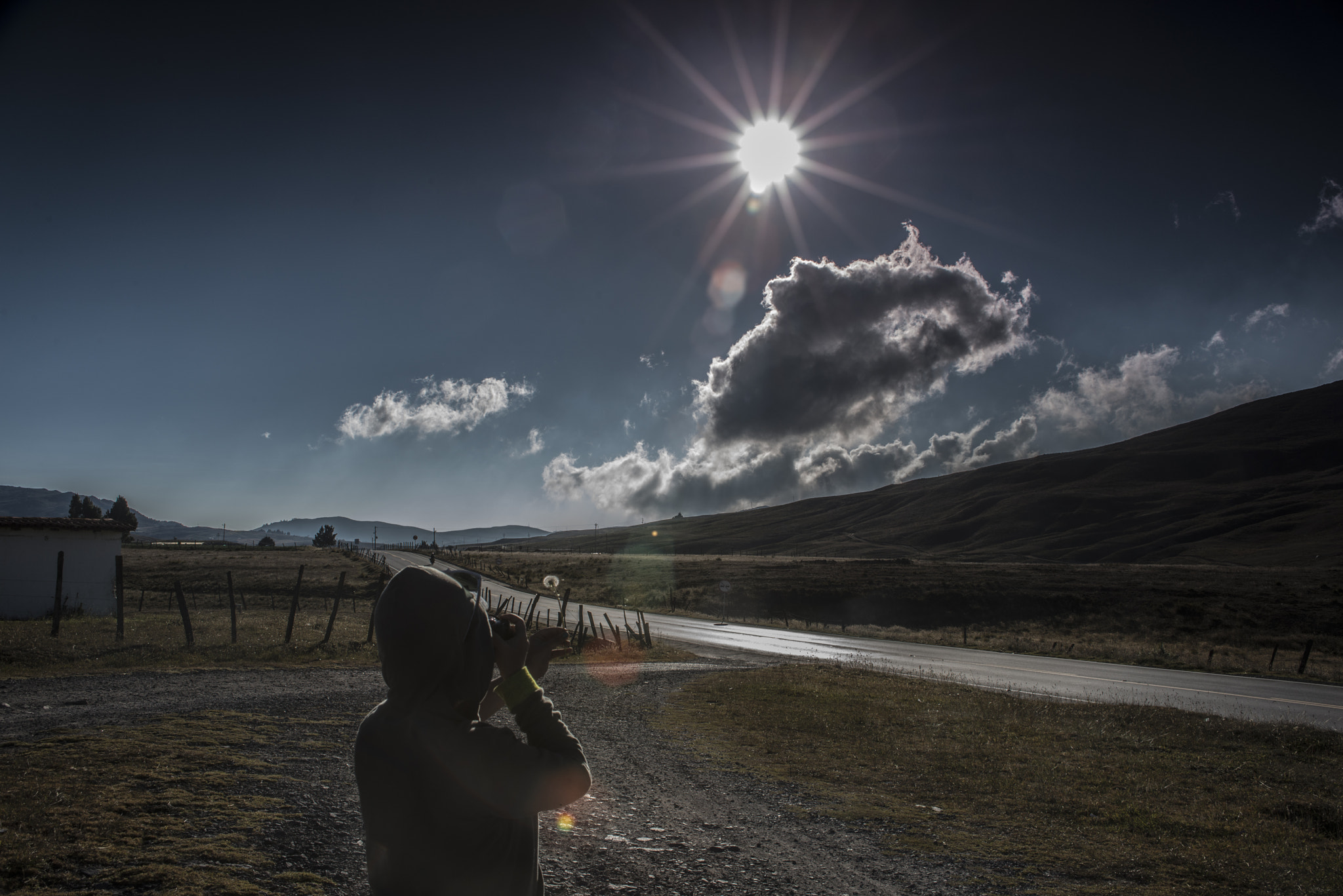 Nikon D800E sample photo. Copia photography