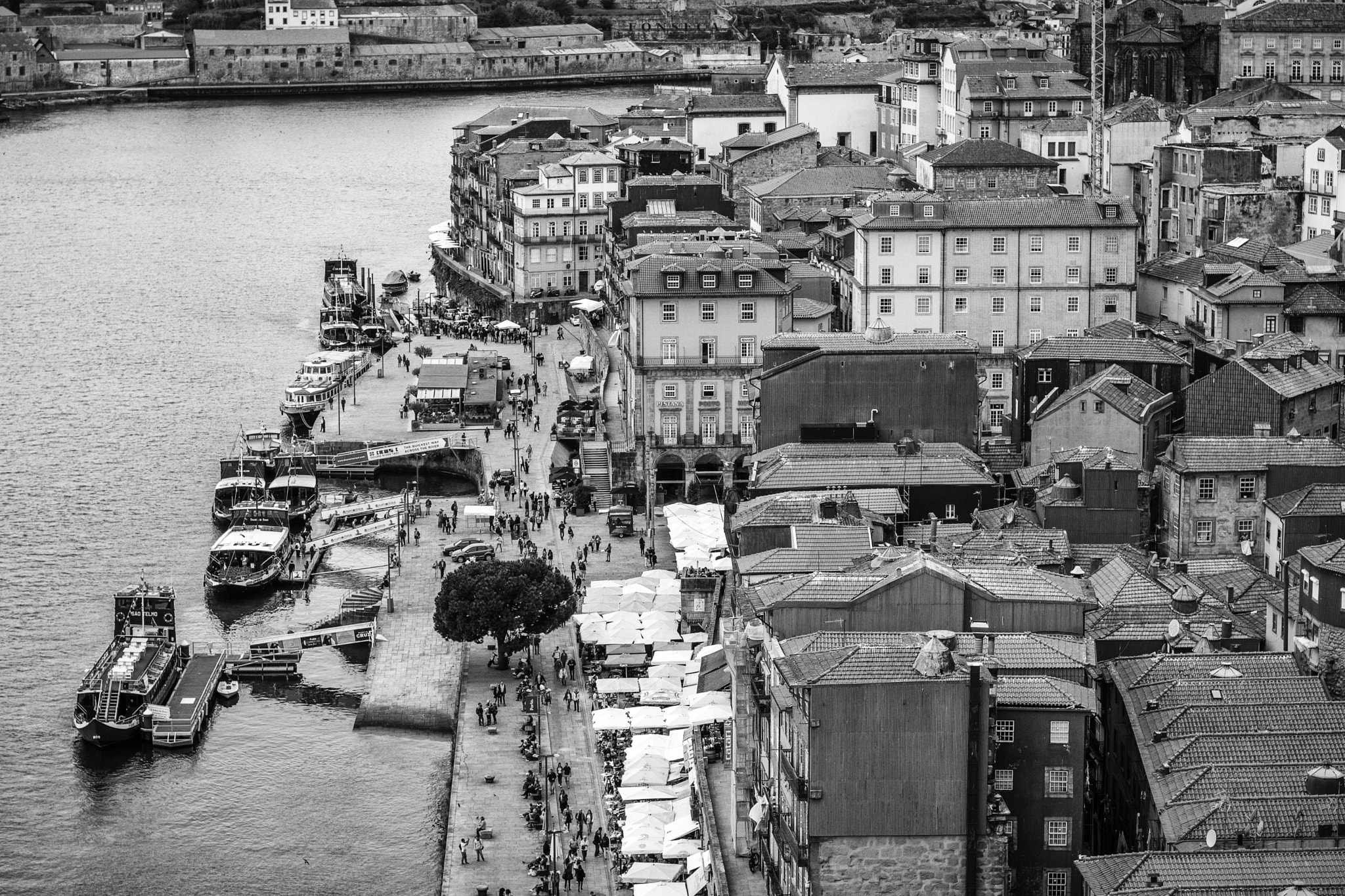 Sony a6000 + Sony DT 50mm F1.8 SAM sample photo. Timeless porto #3 photography
