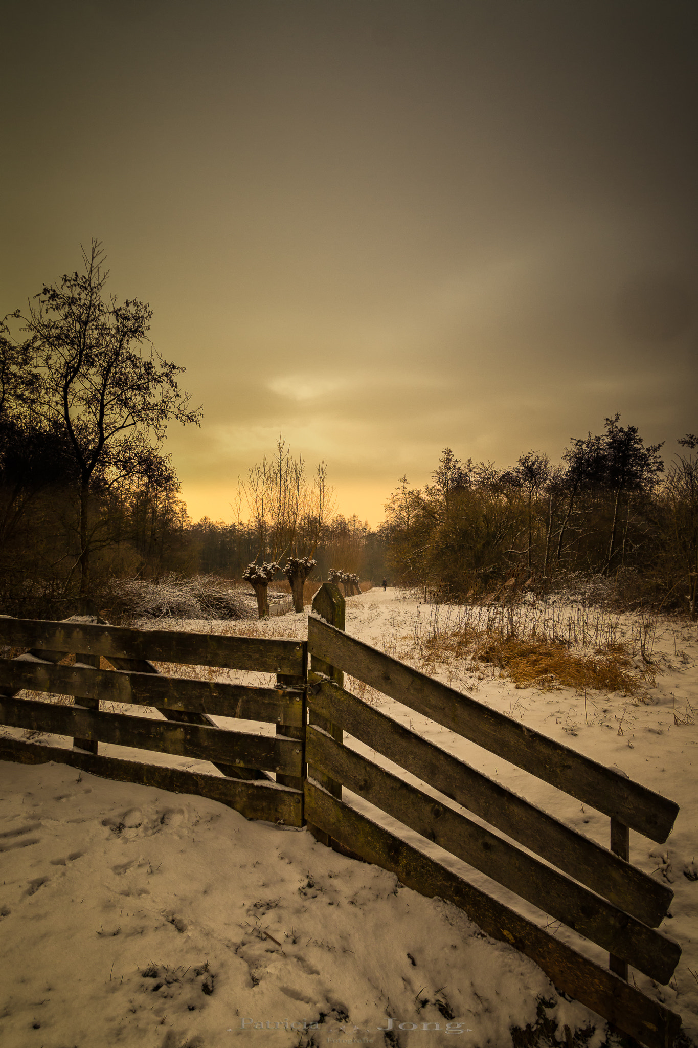 Sigma 17-70mm F2.8-4 DC Macro OS HSM sample photo. Winters photography