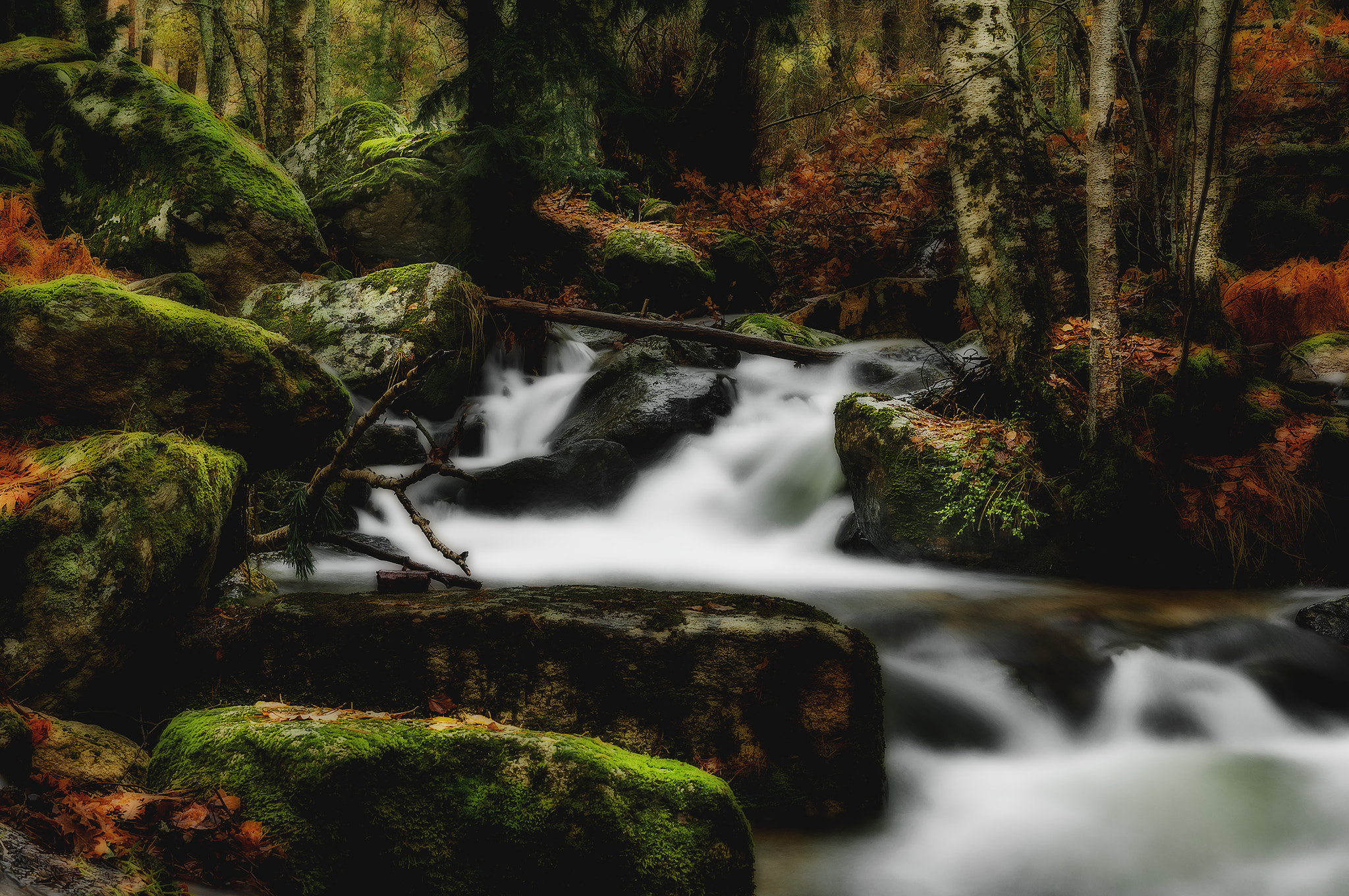 Sigma 17-50mm F2.8 EX DC OS HSM sample photo. Canenci123 photography