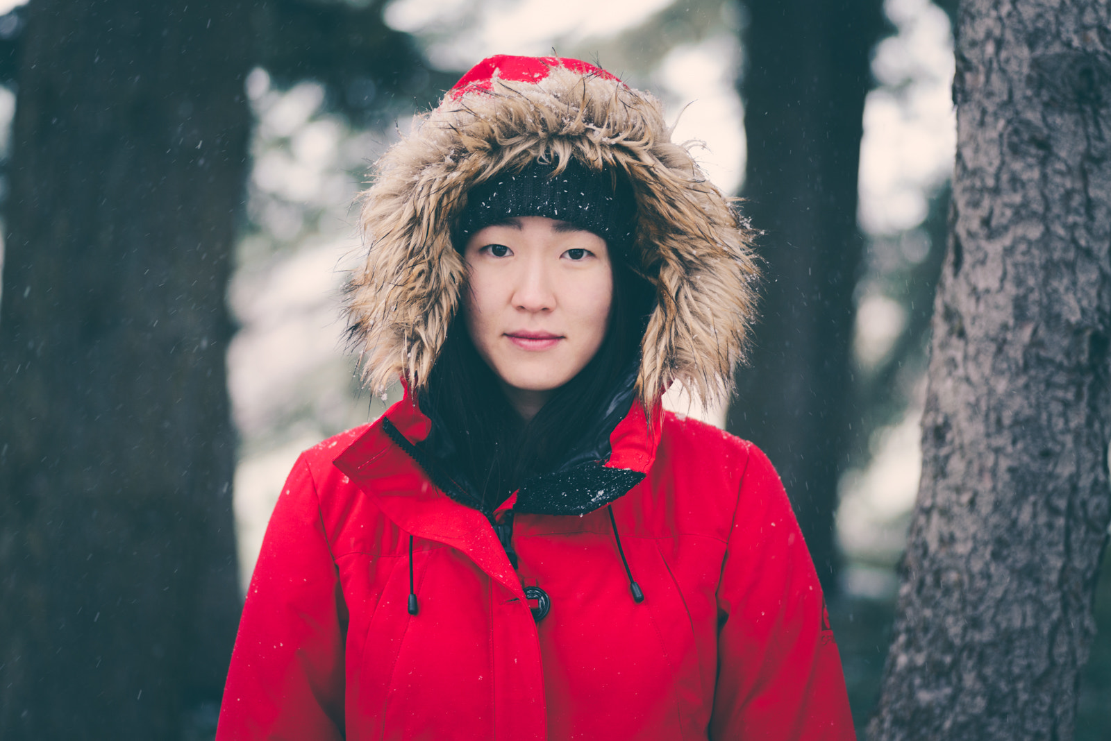 Tokina AT-X Pro 100mm F2.8 Macro sample photo. Red riding hood photography