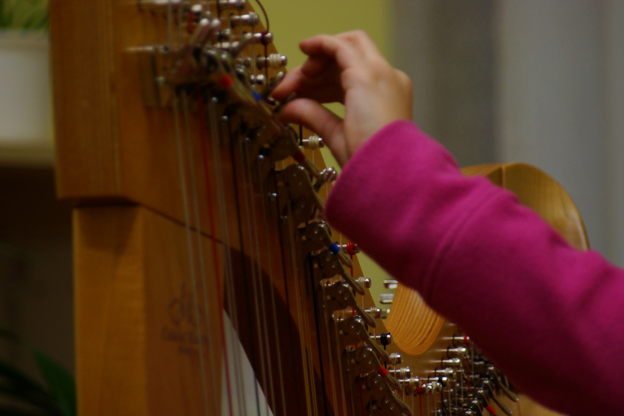 Sony SLT-A65 (SLT-A65V) + Minolta AF 70-210mm F4.5-5.6 [II] sample photo. Harp  photography