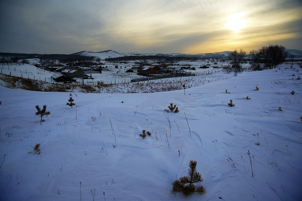 Nikon D800 sample photo