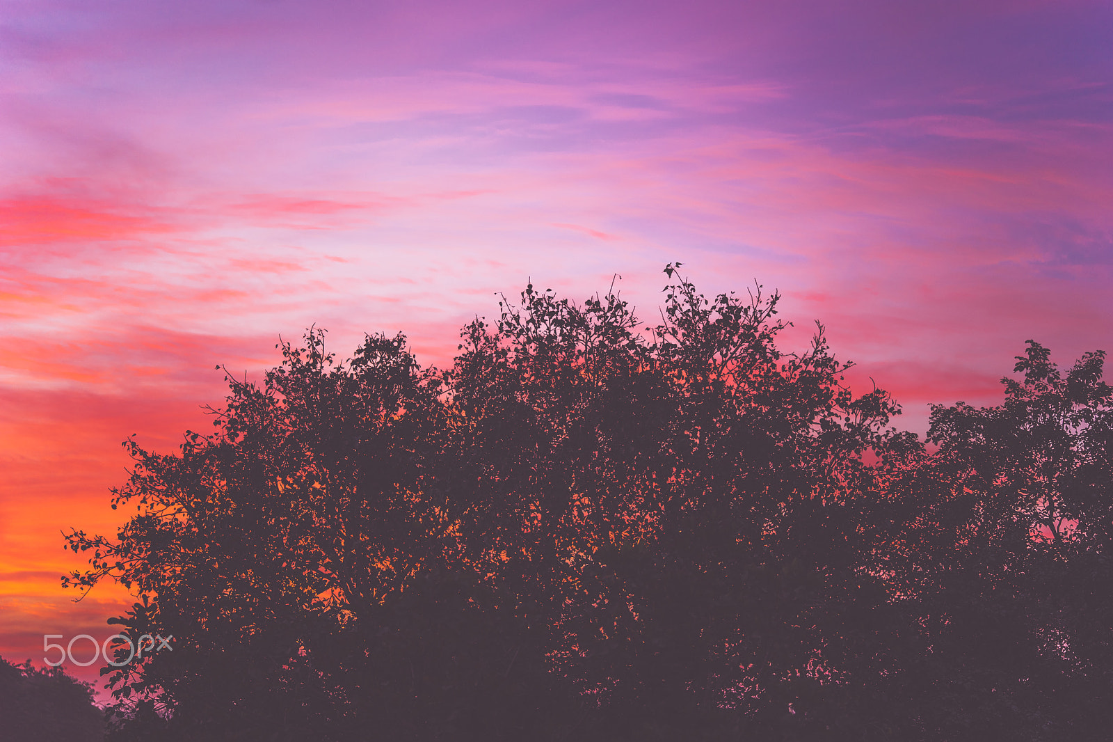 Sony Planar T* FE 50mm F1.4 ZA sample photo. Fiery sky photography