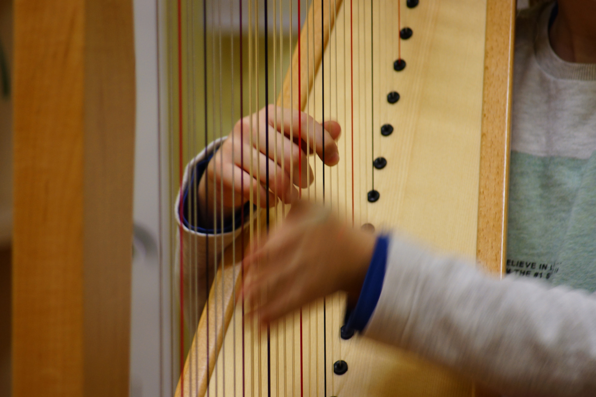 Sony SLT-A65 (SLT-A65V) + Minolta AF 70-210mm F4.5-5.6 [II] sample photo. Harp player  photography