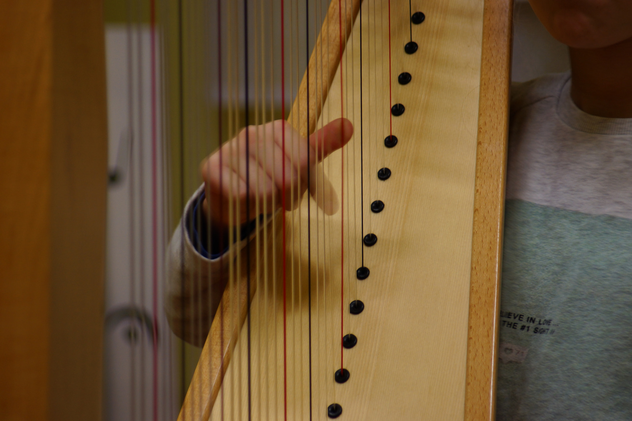 Sony SLT-A65 (SLT-A65V) sample photo. Harp player  photography