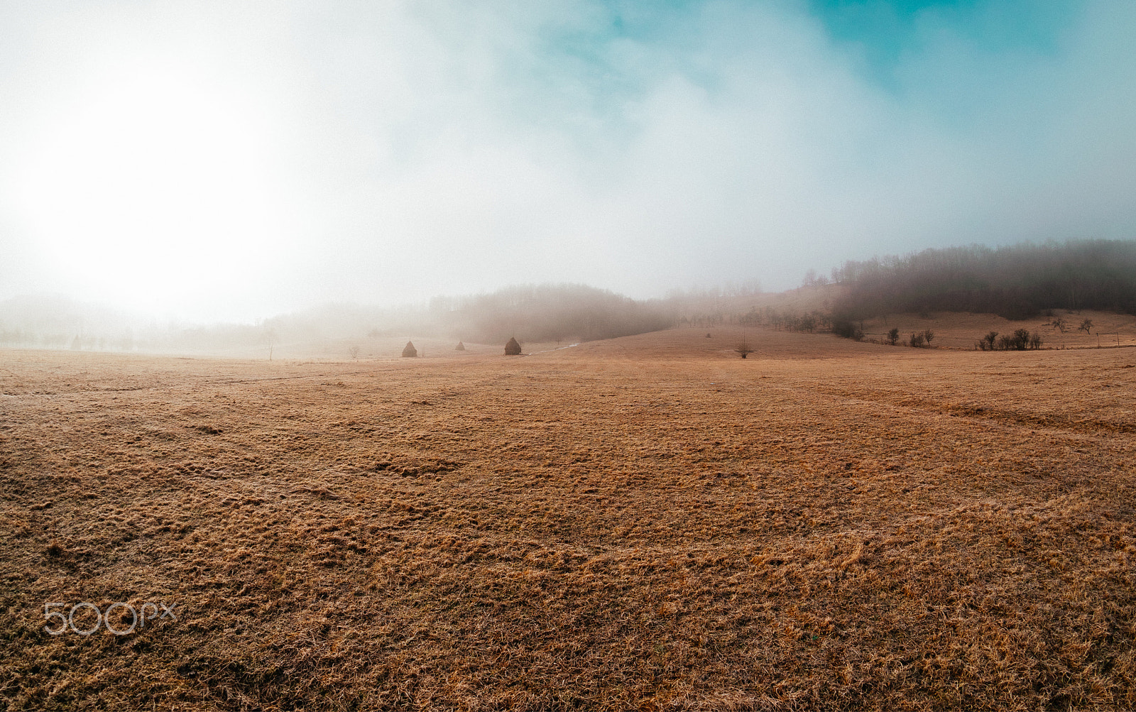 Nikon D5300 + Samyang 8mm F3.5 Aspherical IF MC Fisheye sample photo. Foggy sunrise in transylvania photography