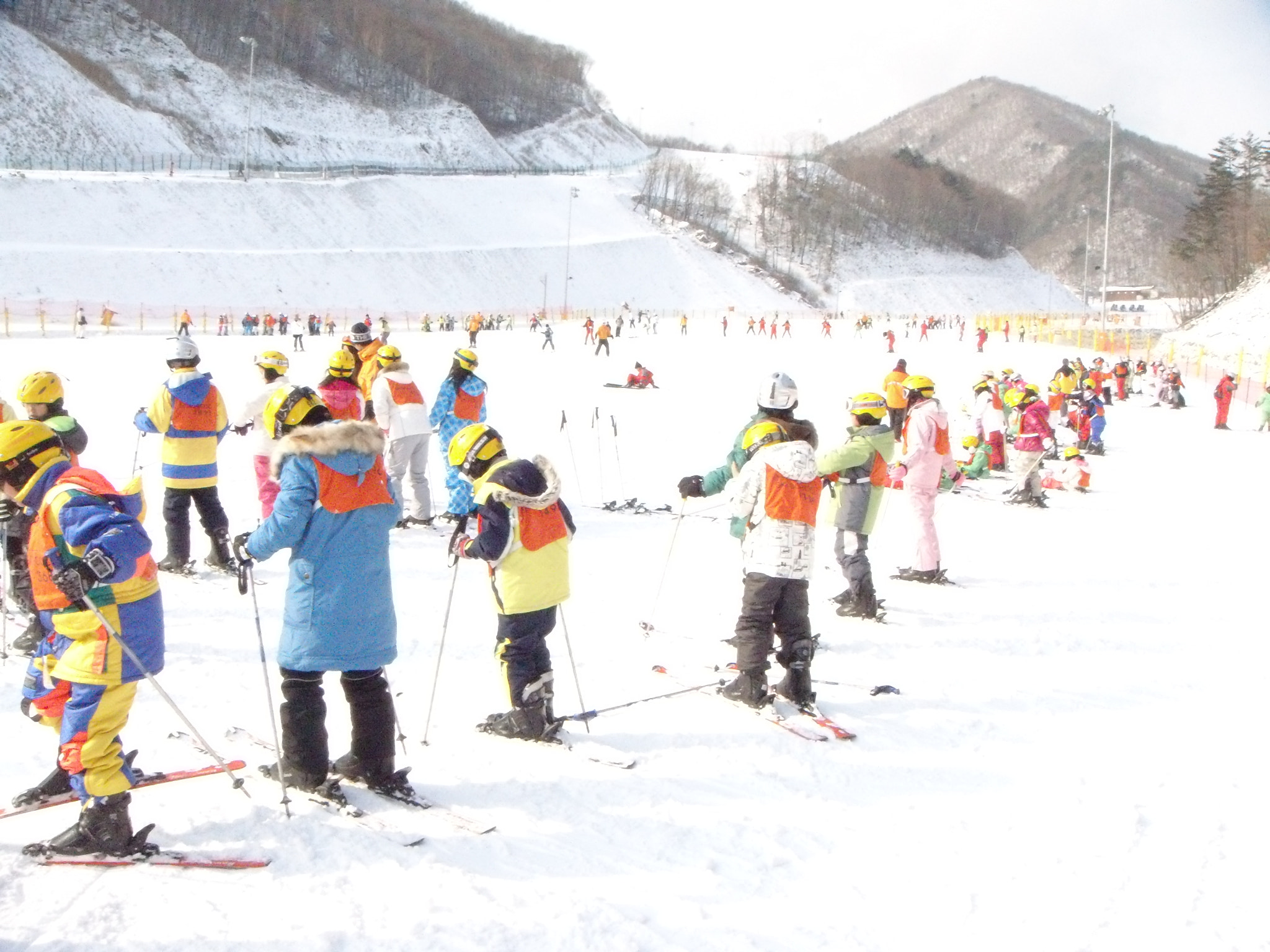 Sony DSC-T500 sample photo. Skiing in korea photography
