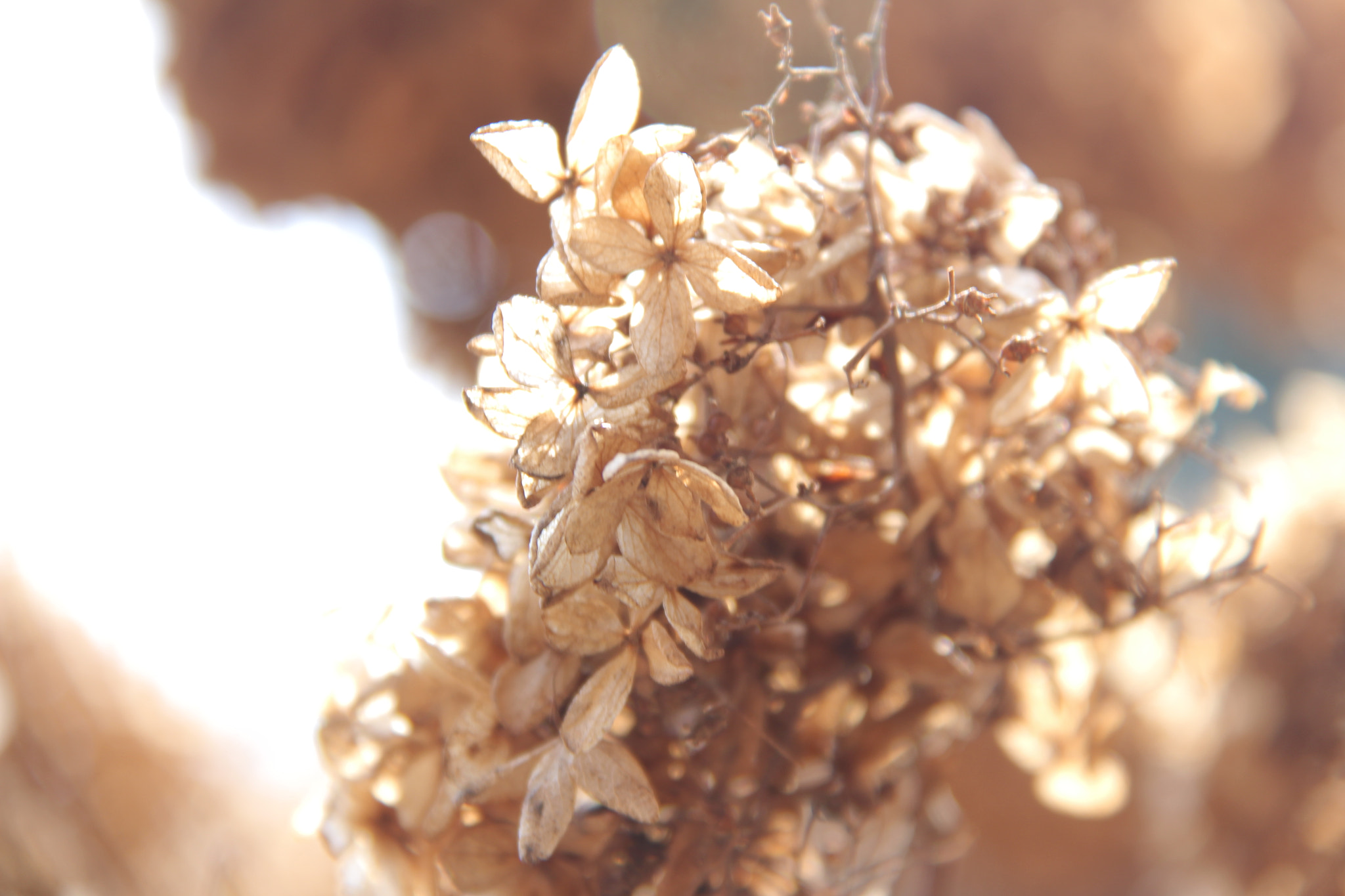 Canon EF-S 18-200mm F3.5-5.6 IS sample photo. 아! 옛날이여````그레도 아름답다^^ photography