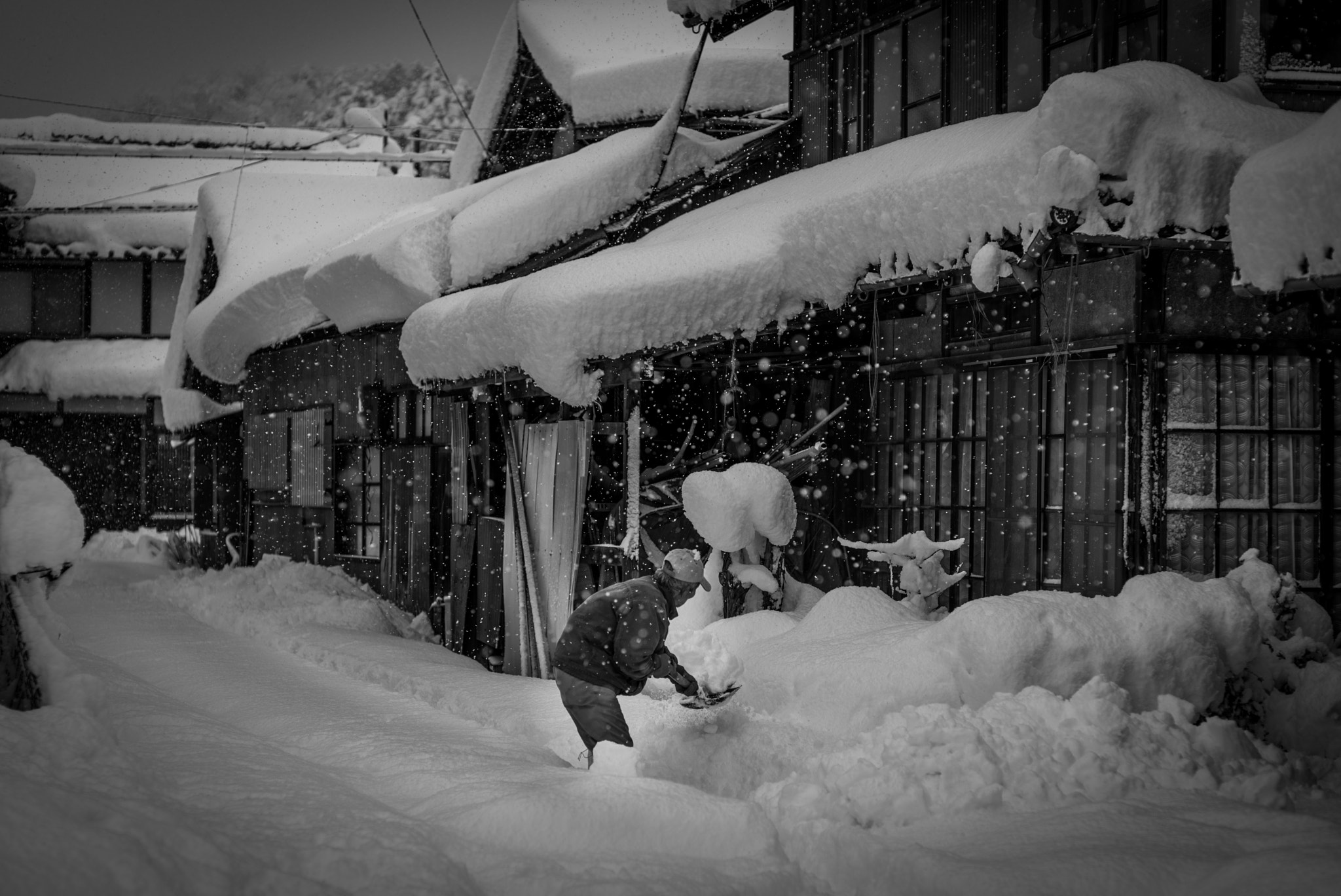 Nikon D750 + Sigma 85mm F1.4 EX DG HSM sample photo. Snow day photography