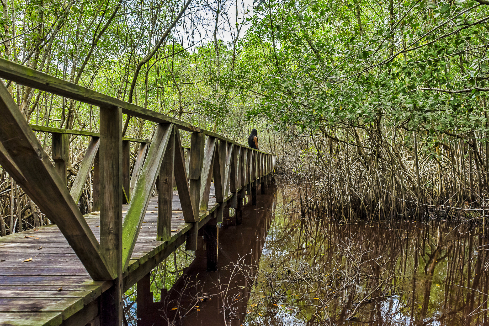 Sigma 18-50mm F2.8-4.5 DC OS HSM sample photo. Naturaleza photography