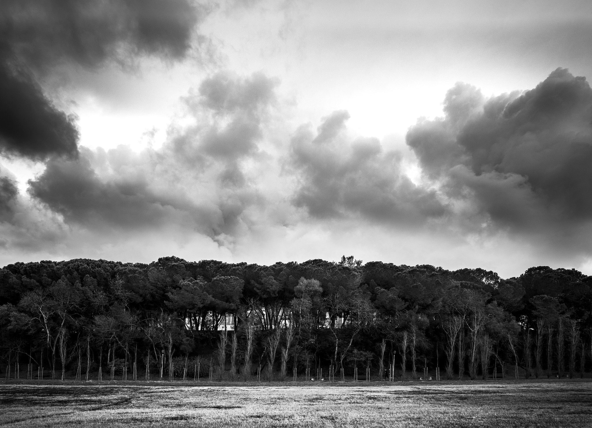 Fujifilm XF 14mm F2.8 R sample photo. Silence photography