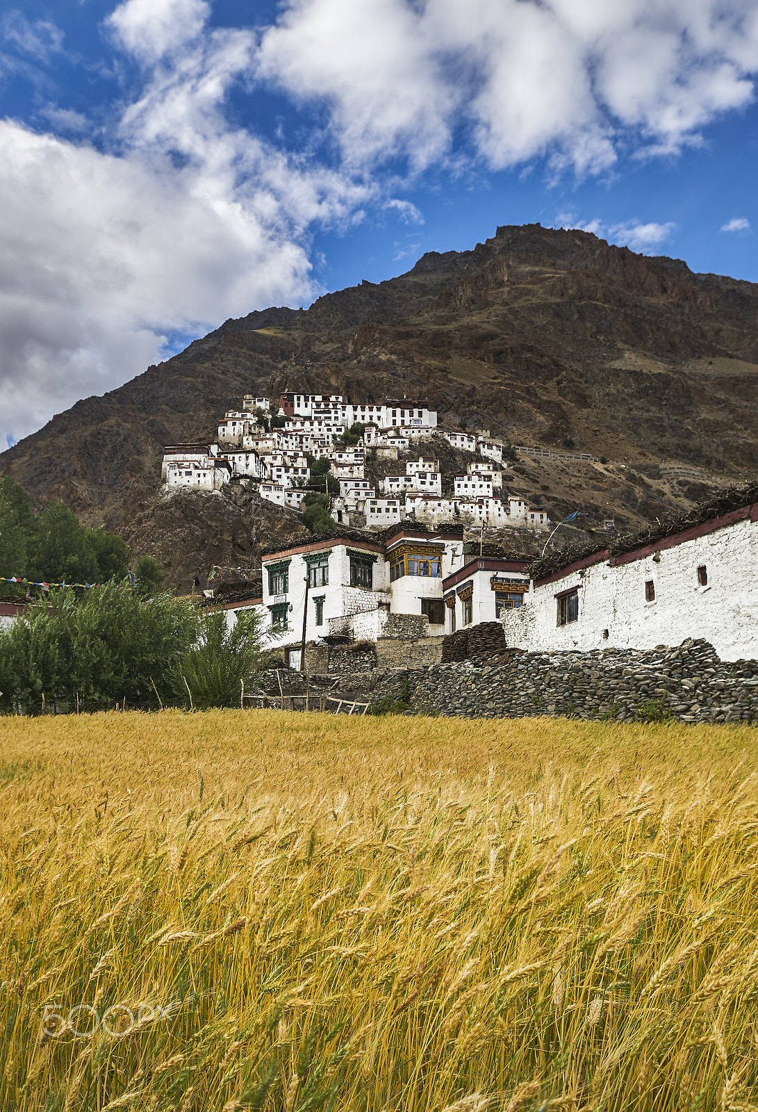 16-35mm F2.8 sample photo. The monasteries of ladakh photography