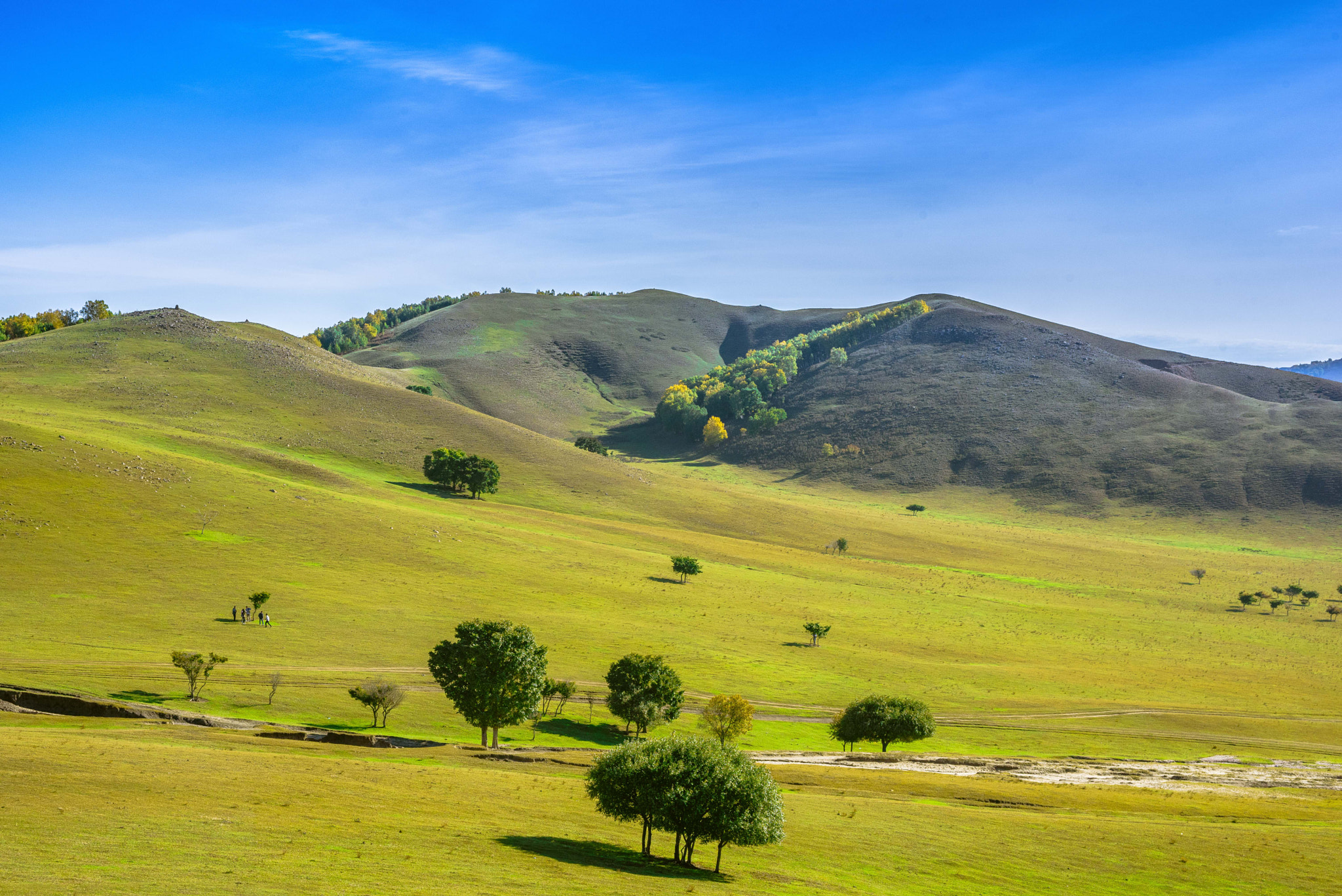AF Zoom-Nikkor 28-105mm f/3.5-4.5D IF sample photo. Grassland photography