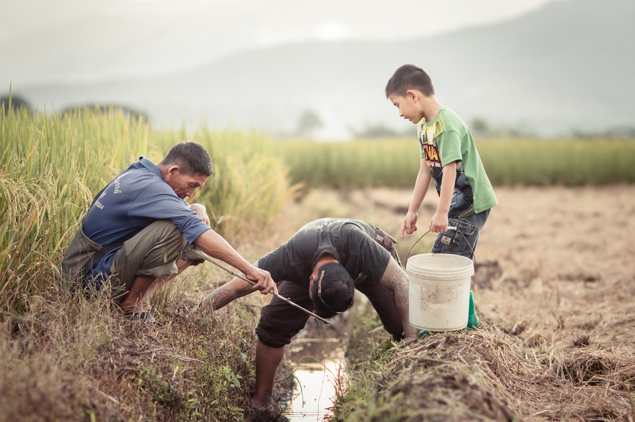 Nikon D300 + AF DC-Nikkor 135mm f/2D sample photo. Farmers find crab in the rice field. photography