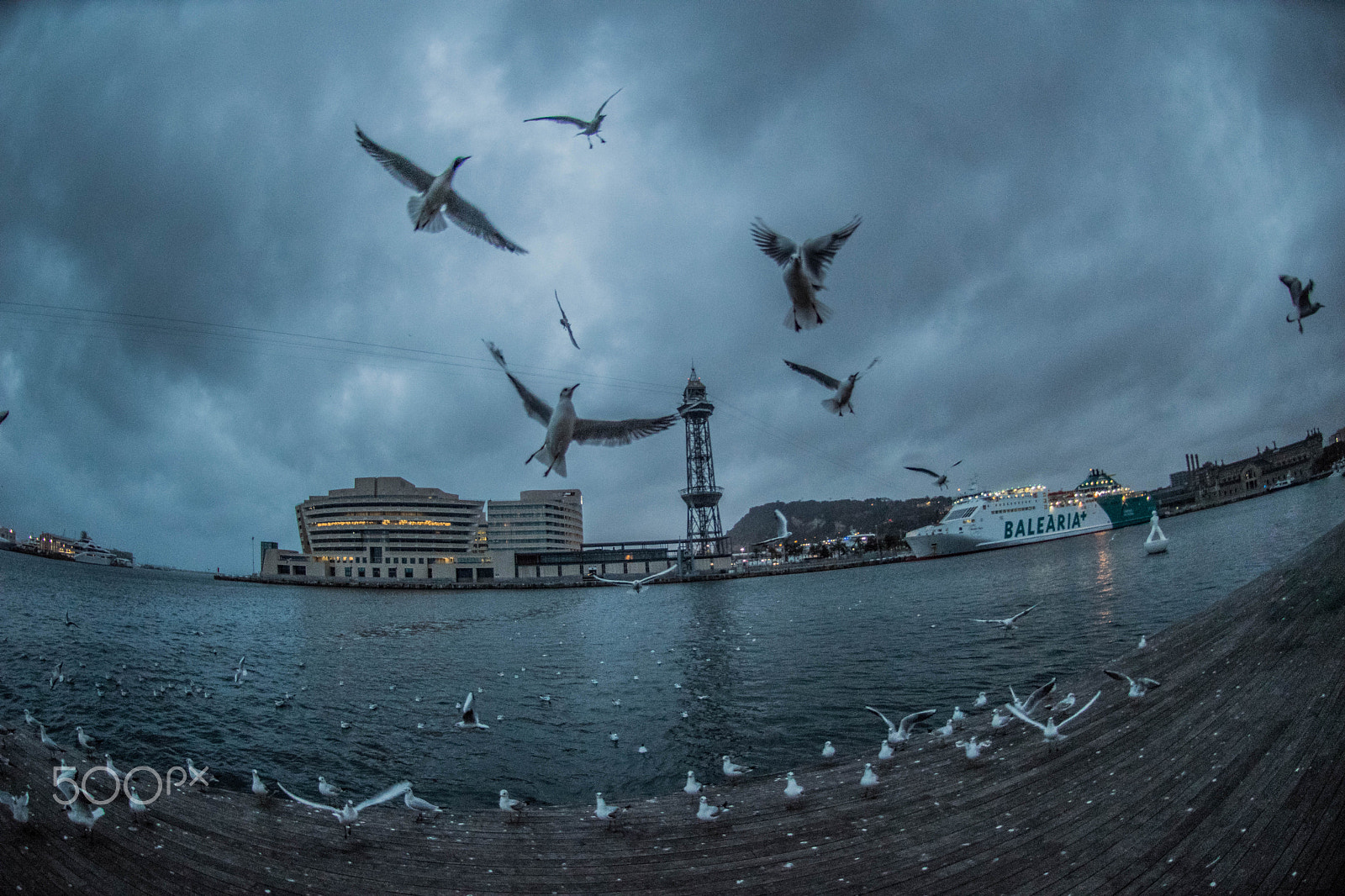 Nikon AF DX Fisheye-Nikkor 10.5mm F2.8G ED sample photo. Blurry flight photography