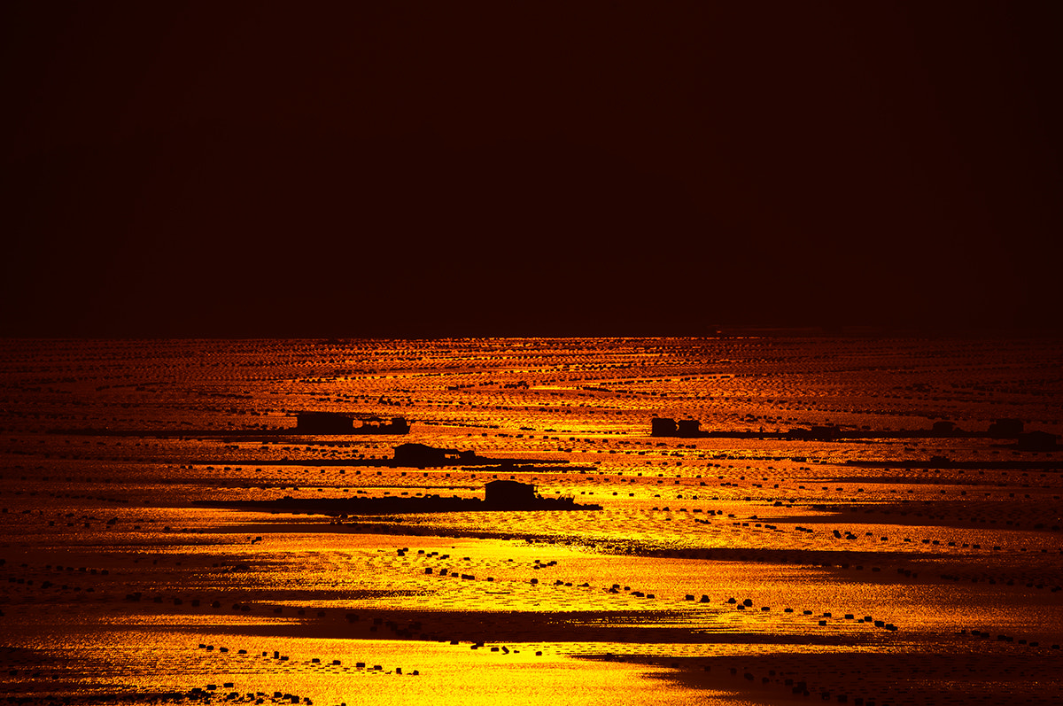 Nikon D800 sample photo. 霞浦 photography