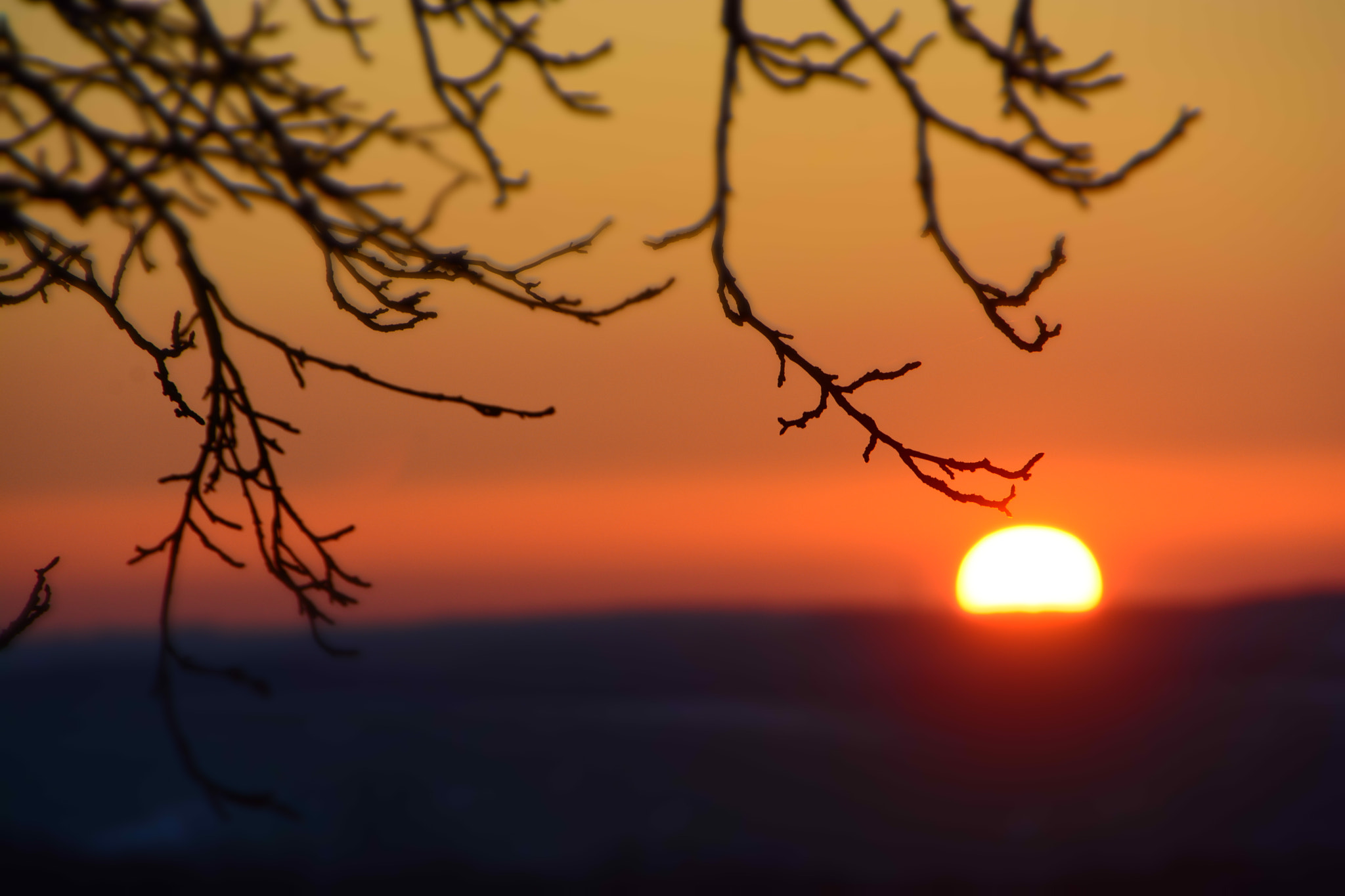Sigma 18-250mm F3.5-6.3 DC OS HSM sample photo. Magische momente photography