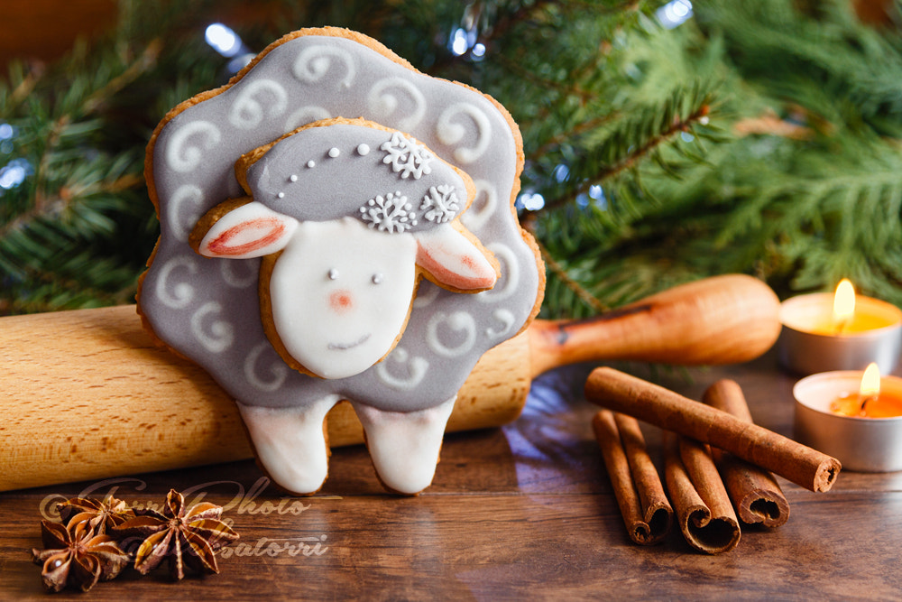 Canon EOS 650D (EOS Rebel T4i / EOS Kiss X6i) + Canon EF 24-105mm F4L IS USM sample photo. Christmas gingerbread sheep photography