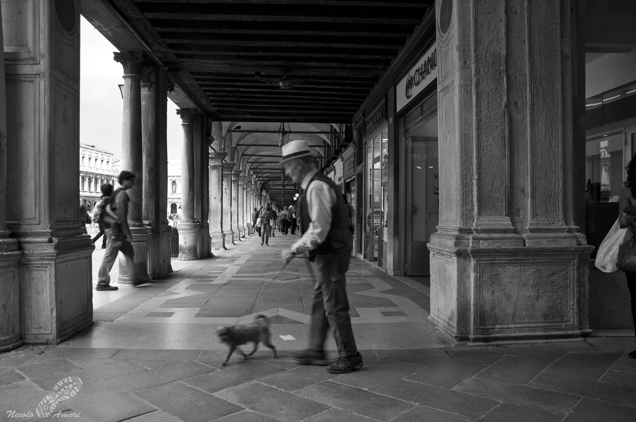 Nikon D90 + Sigma 18-250mm F3.5-6.3 DC OS HSM sample photo. Venice photography