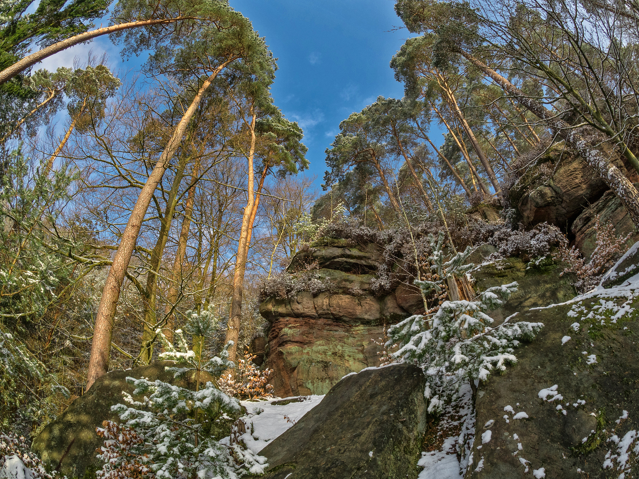 OLYMPUS M.8mm F1.8 sample photo. Last snow... photography