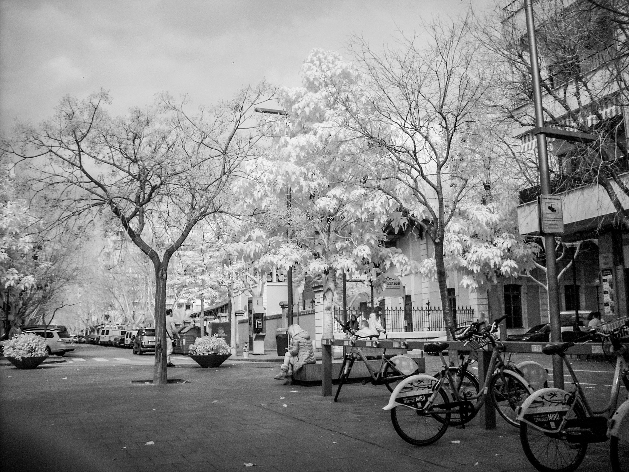 Nikon COOLPIX L10 sample photo. Infrared test photography