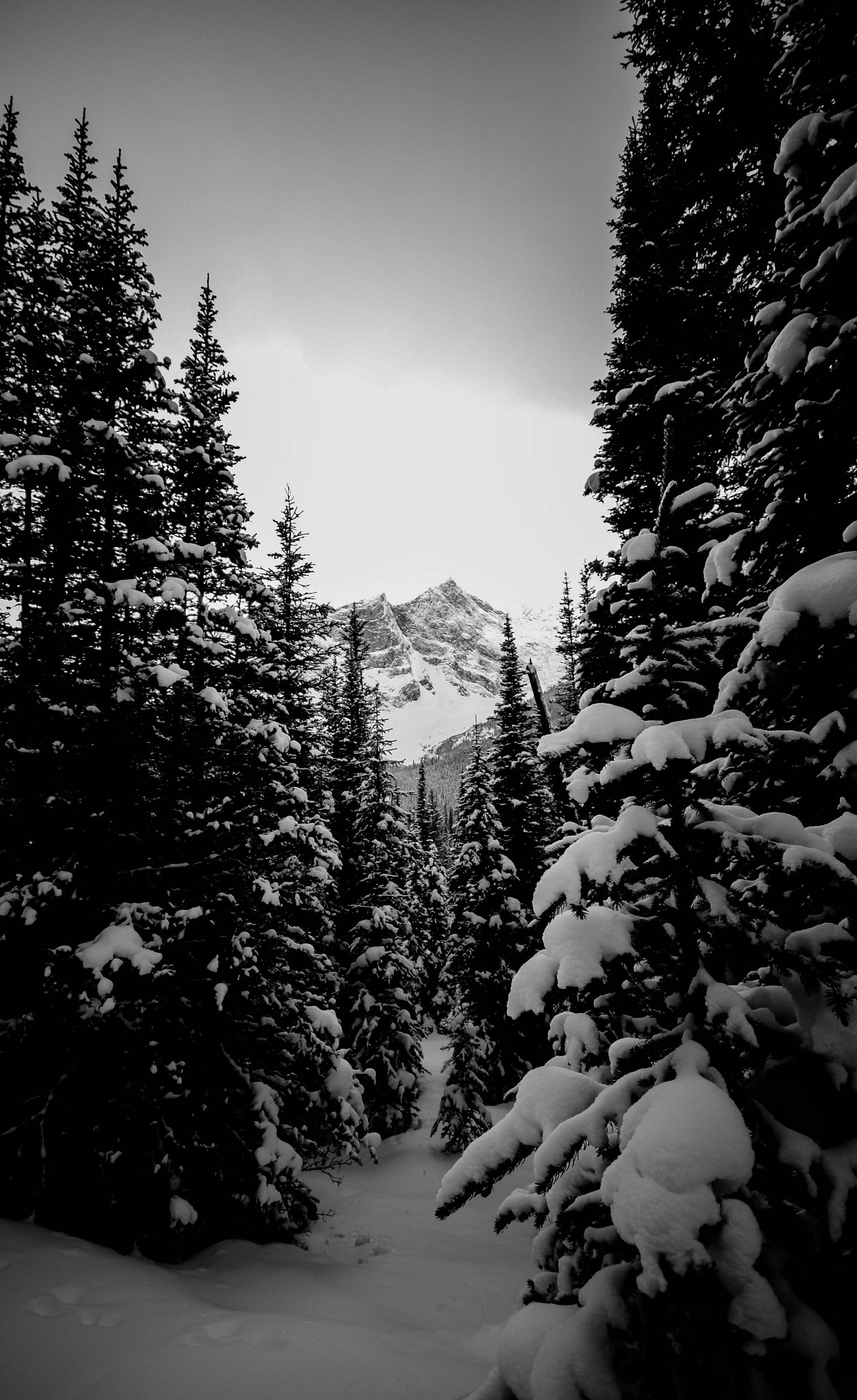 Sigma 10-20mm F4-5.6 EX DC HSM sample photo. Lots of snow photography