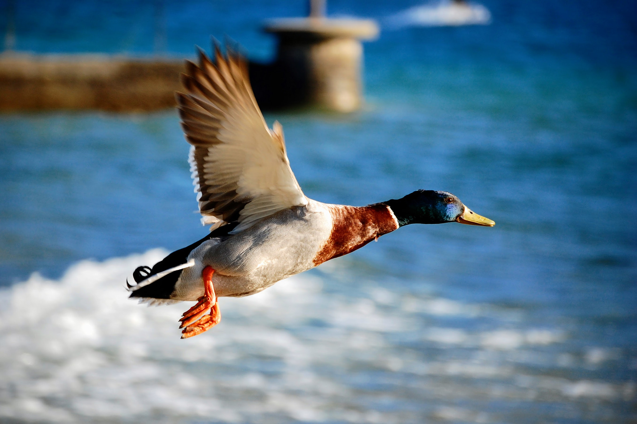 Nikon D40 sample photo. See you tomorrow photography