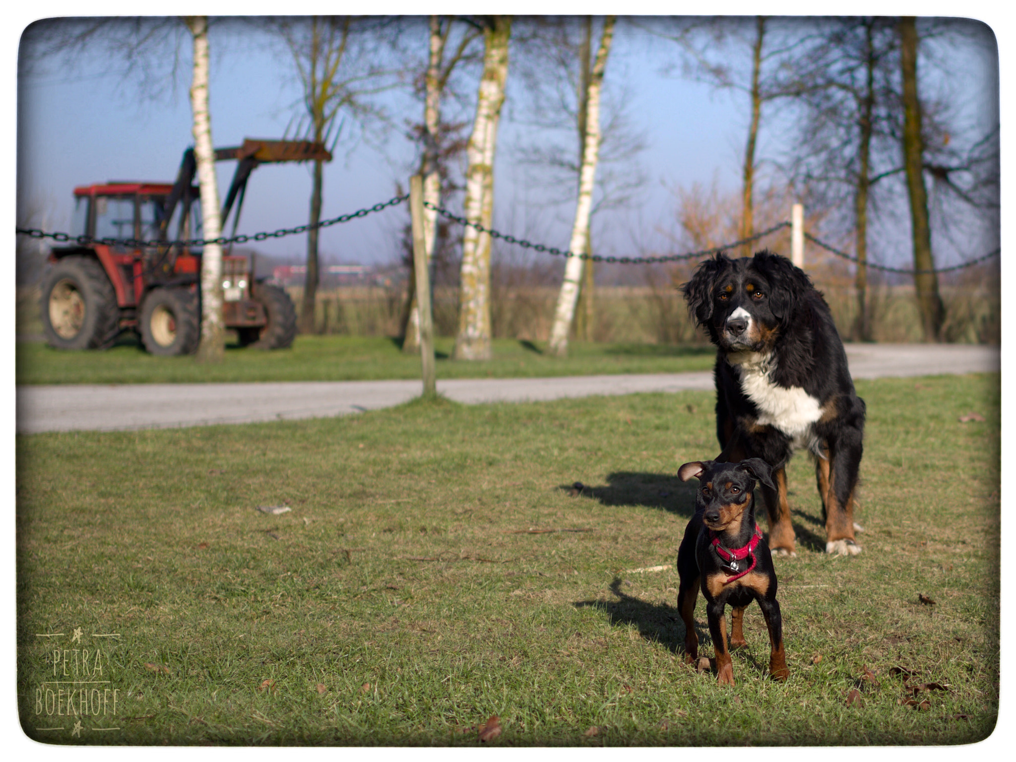 Pentax K-70 sample photo. On the farm photography