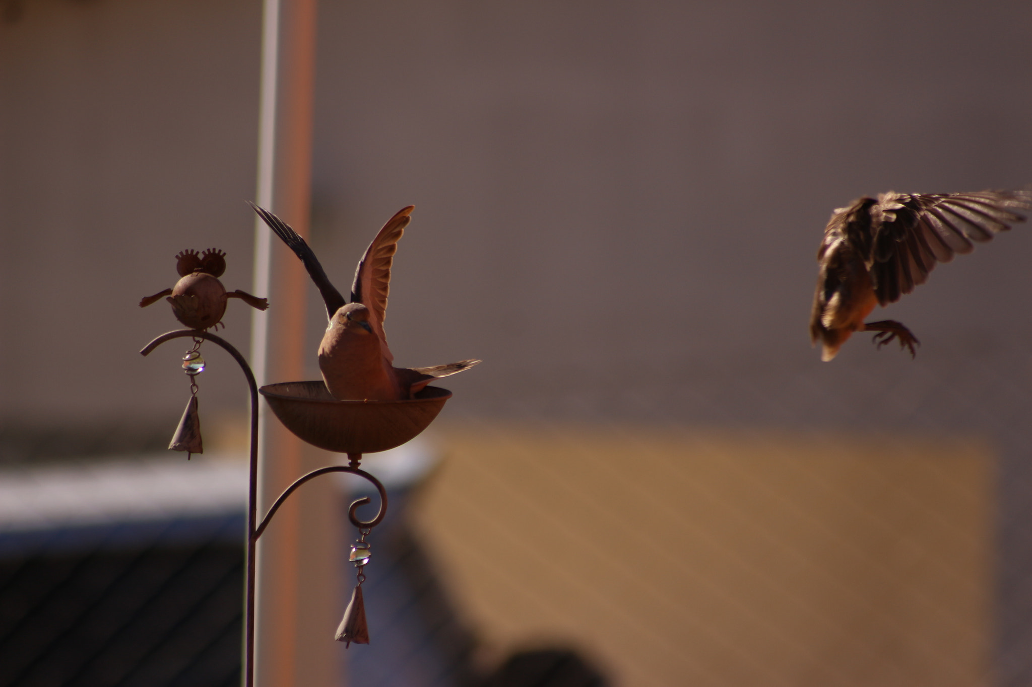 Canon EOS 700D (EOS Rebel T5i / EOS Kiss X7i) sample photo. Img photography