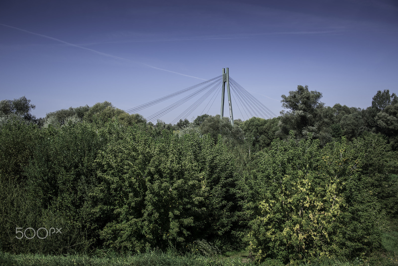 Nikon D750 sample photo. Bridge in blue/green photography