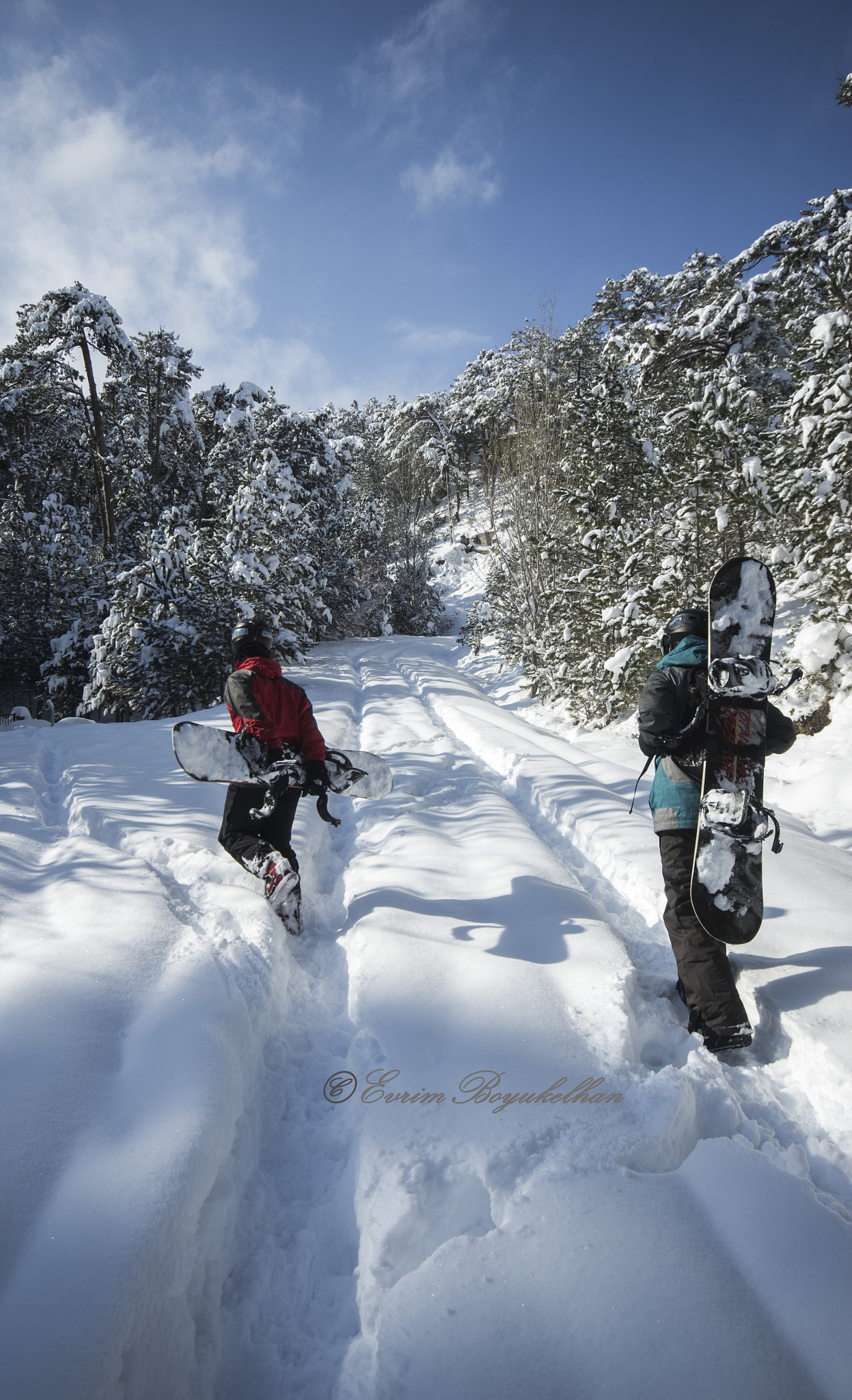 Sigma AF 10-20mm F4-5.6 EX DC sample photo. Snowboarder photography