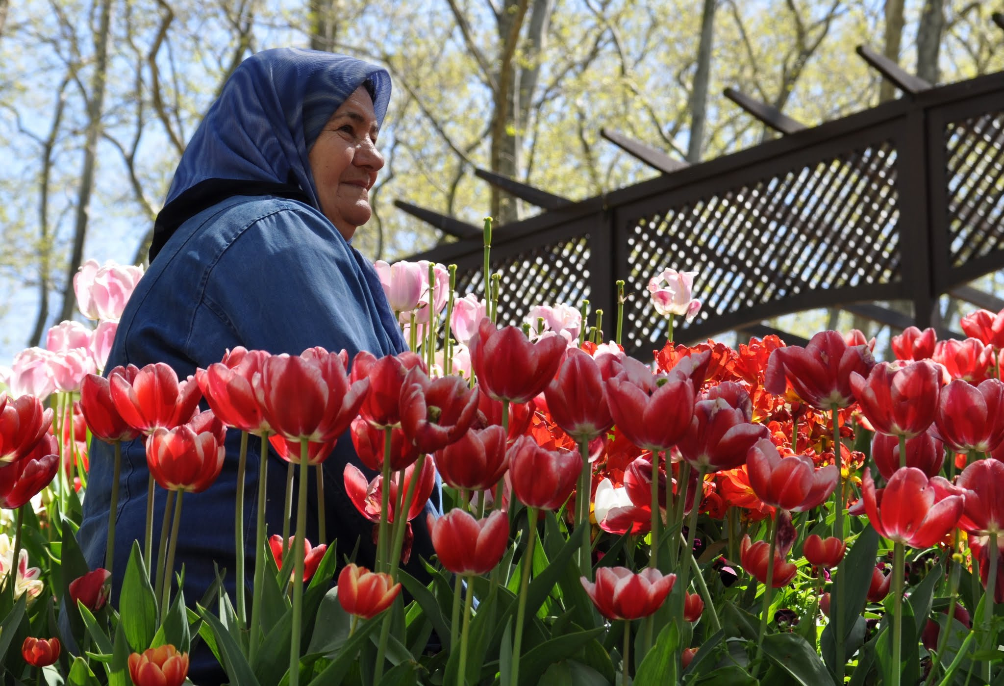 Sigma 17-70mm F2.8-4 DC Macro OS HSM sample photo. Woman in flowers photography