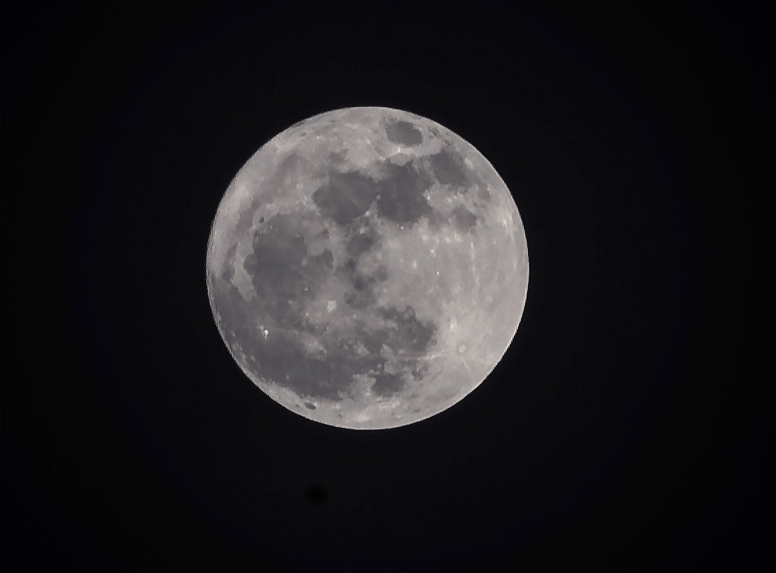 Sigma 70-300mm F4-5.6 APO DG Macro sample photo. Luna photography