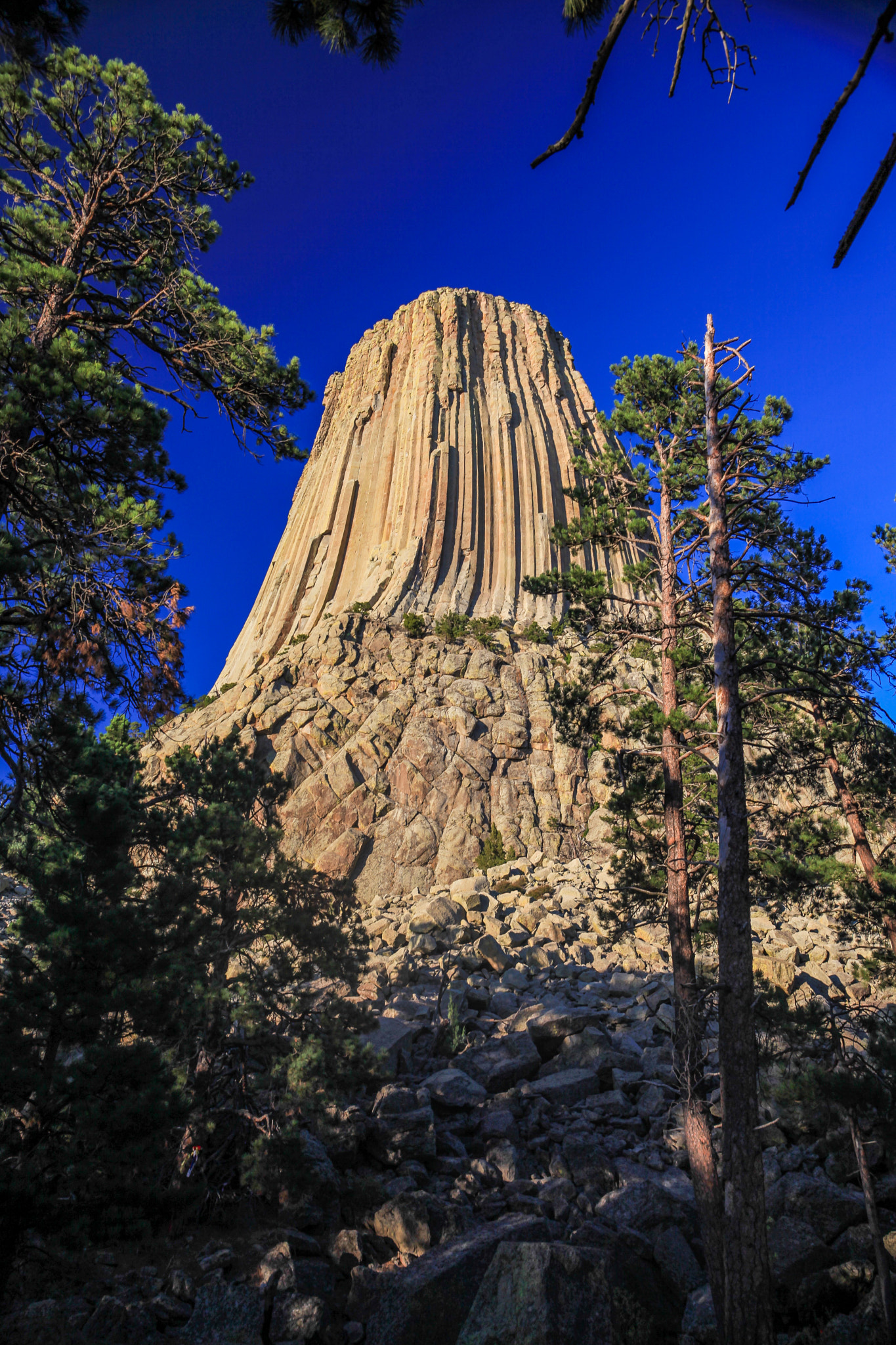 Canon EF 24-70mm F4L IS USM sample photo. Devils tower 1 photography
