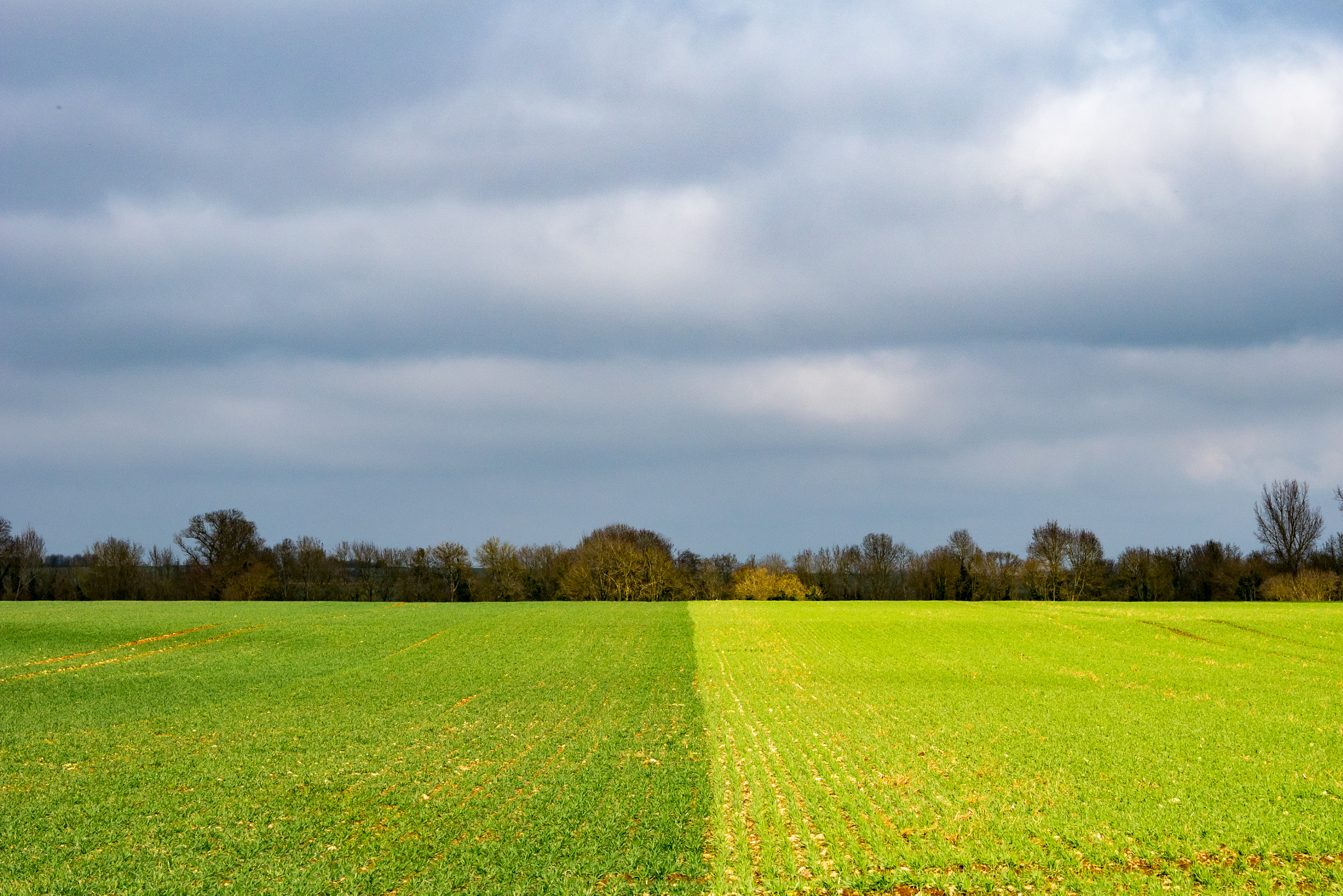 Sigma 60mm F2.8 DN Art sample photo. Fields #2 photography