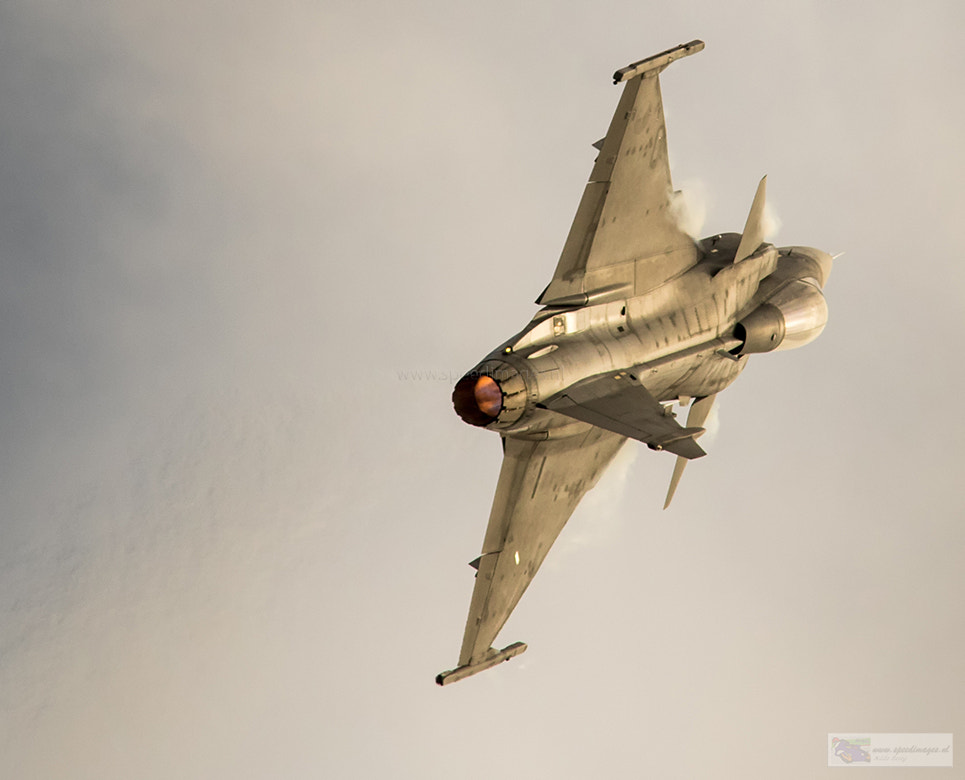 Canon EF 200mm F2.8L II USM sample photo. Gripen display photography