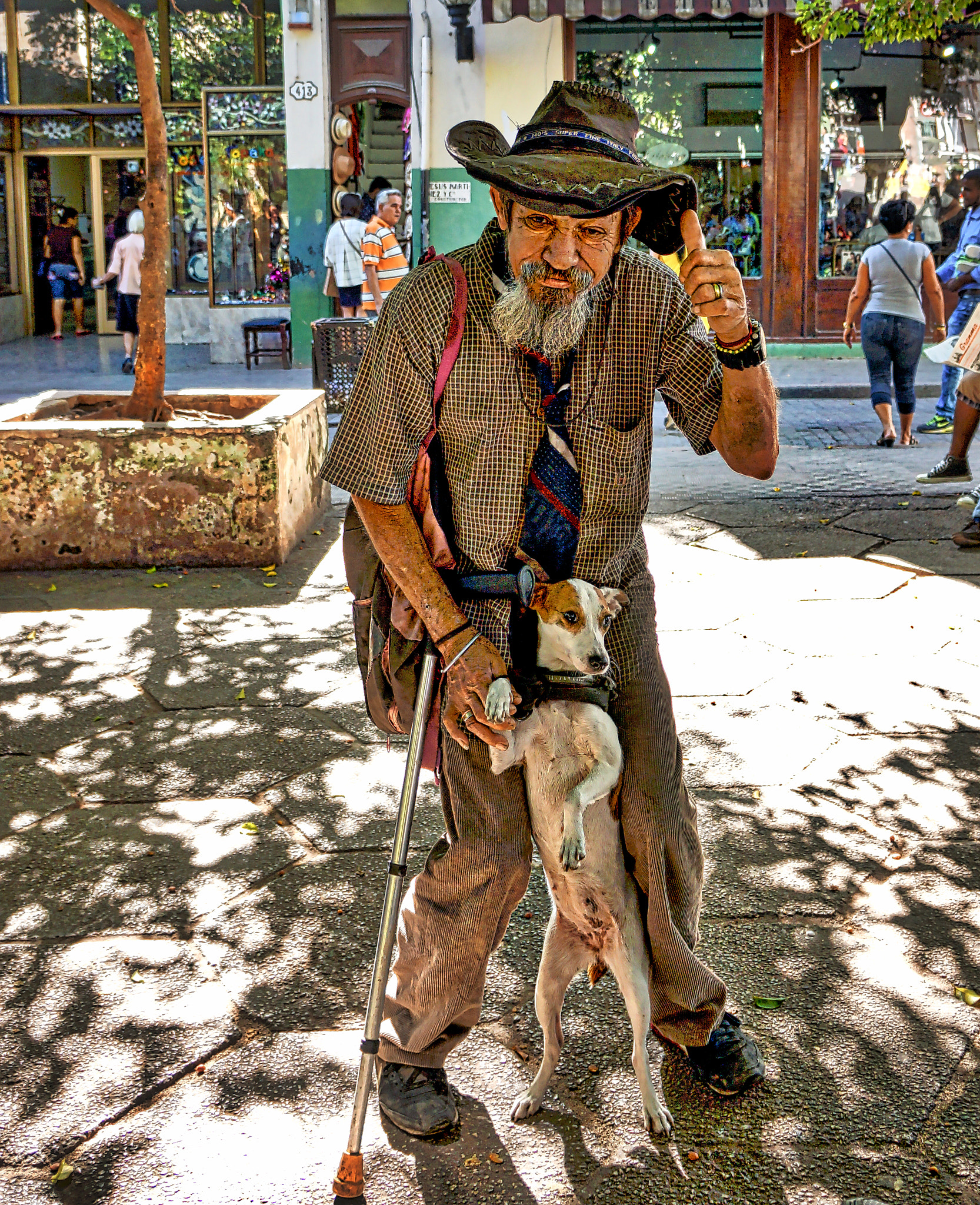 Hasselblad Lunar sample photo. Old cuban man & his little dog "linda" photography