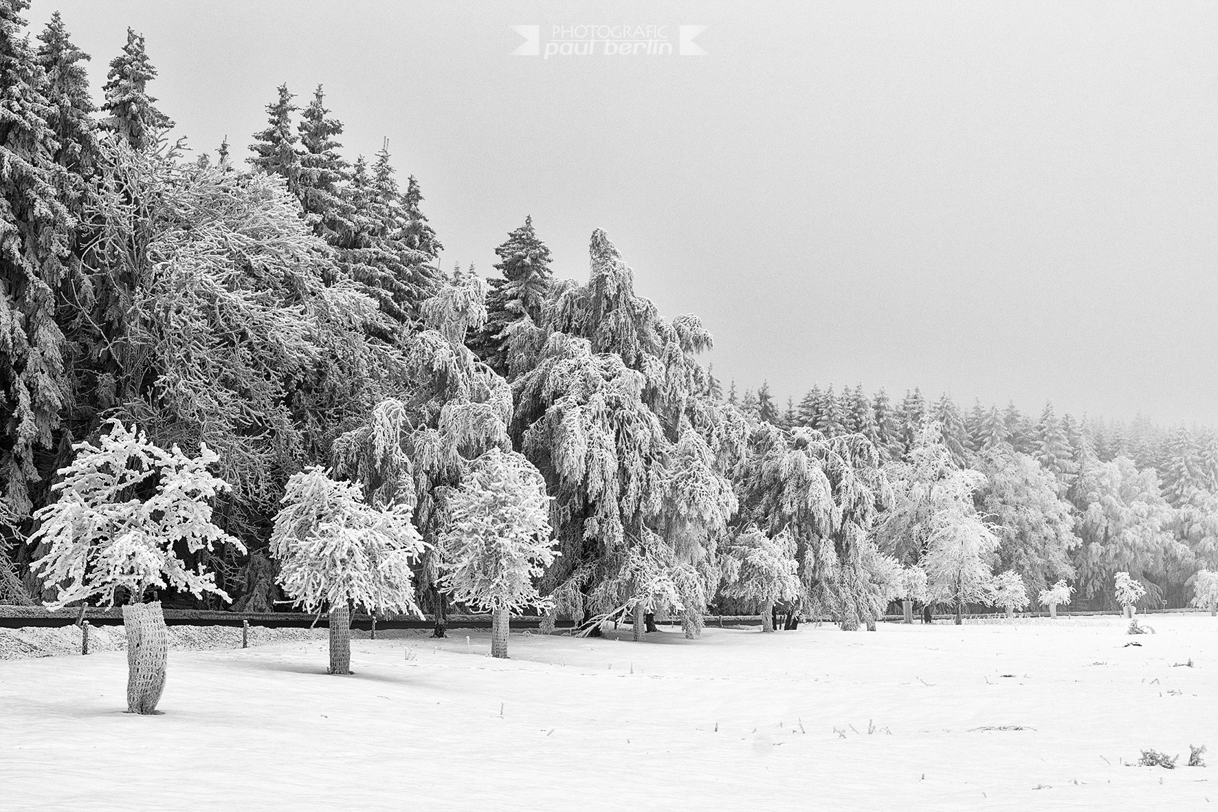 Sony a7R sample photo. Easy winter photography