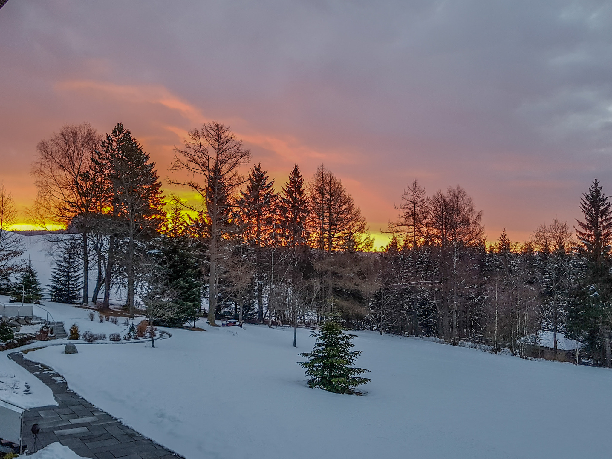 Samsung Galaxy S7 Rear Camera sample photo. Sonnenaufgang im schwarzwald photography