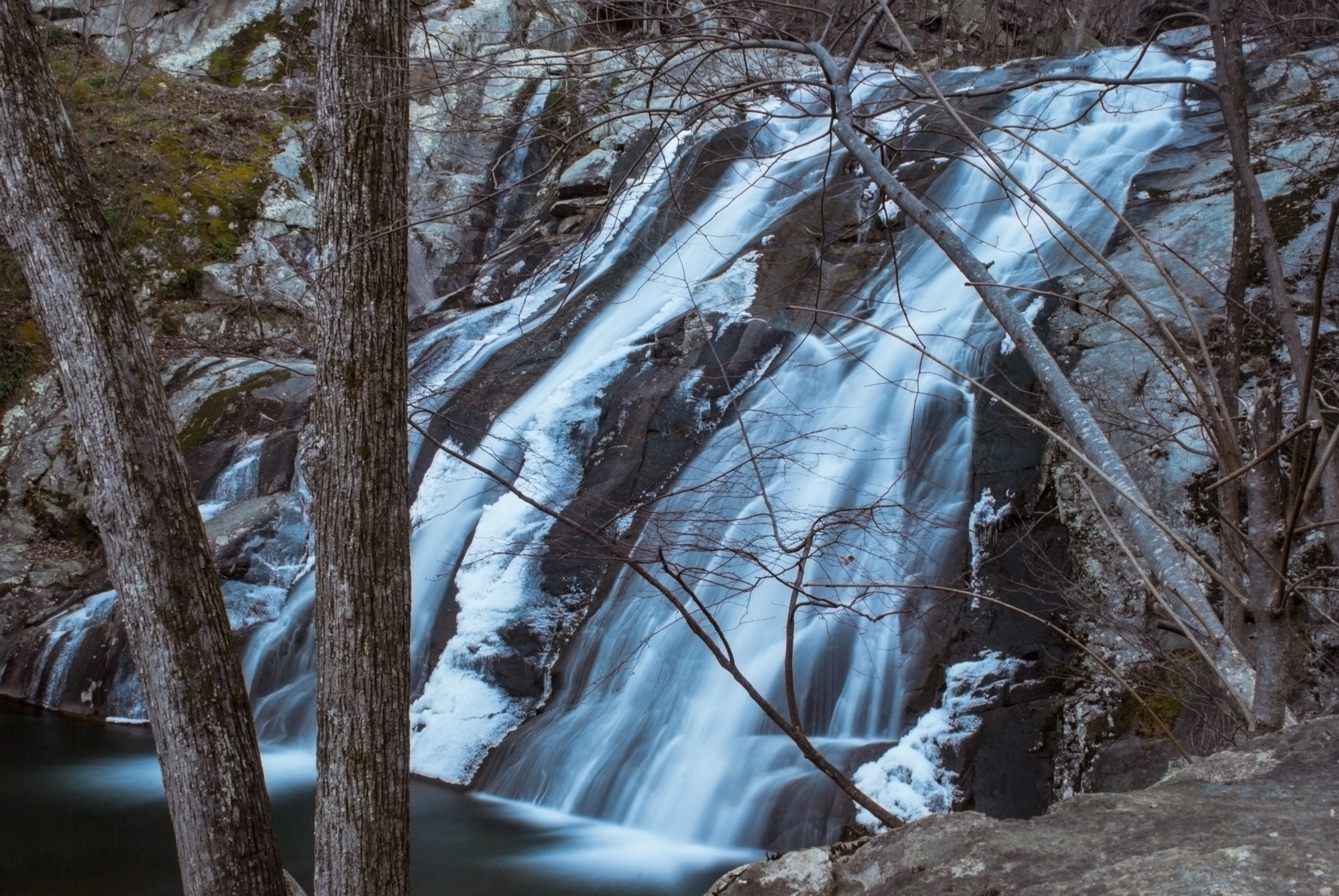 Nikon D80 + Nikon AF Nikkor 24mm F2.8D sample photo. Frozen twins!!! photography