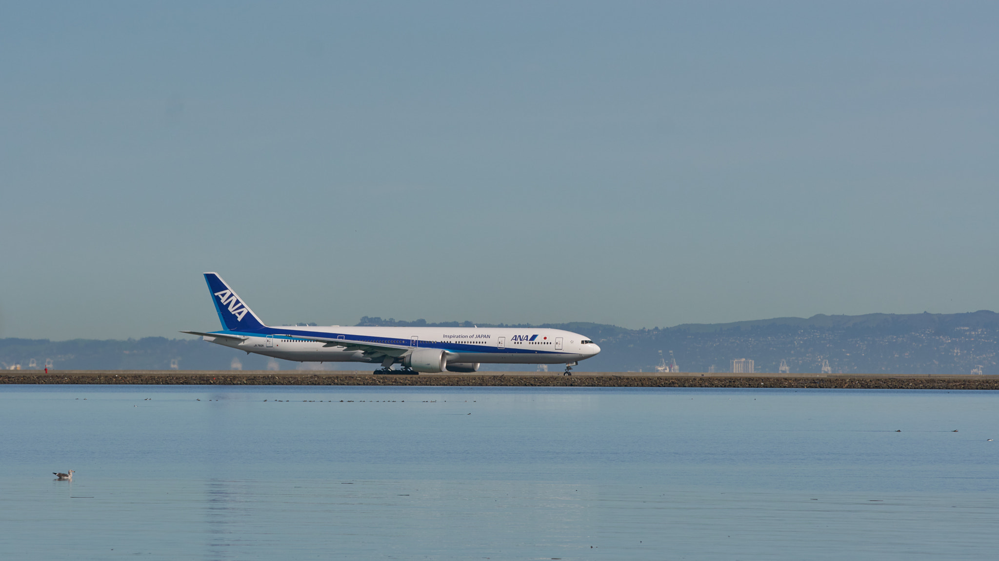 Sigma 70-200mm F2.8 EX DG HSM APO Macro sample photo. Ana and its big wing! photography