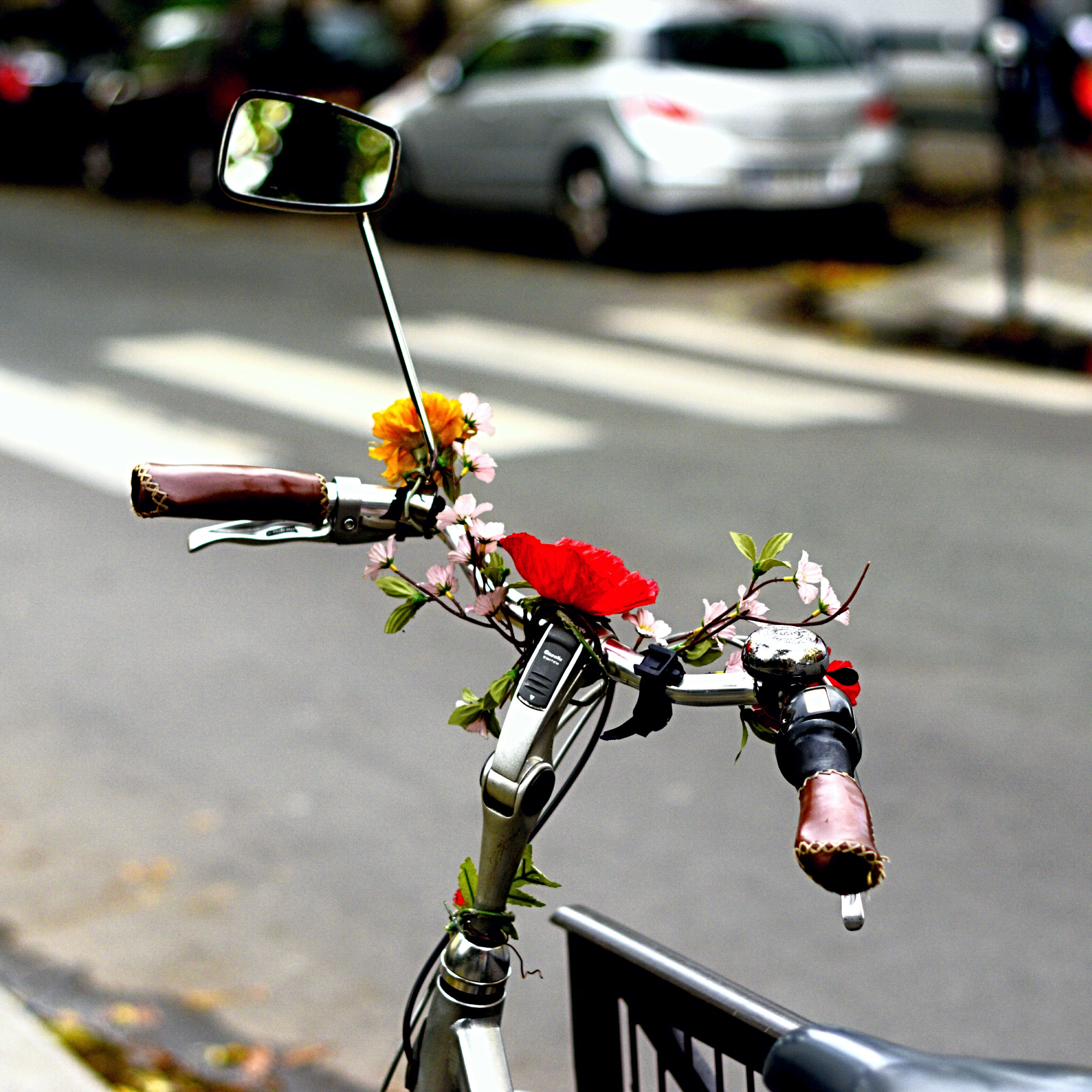 Nikon D3300 + Nikon AF-S Nikkor 50mm F1.4G sample photo. All about love photography